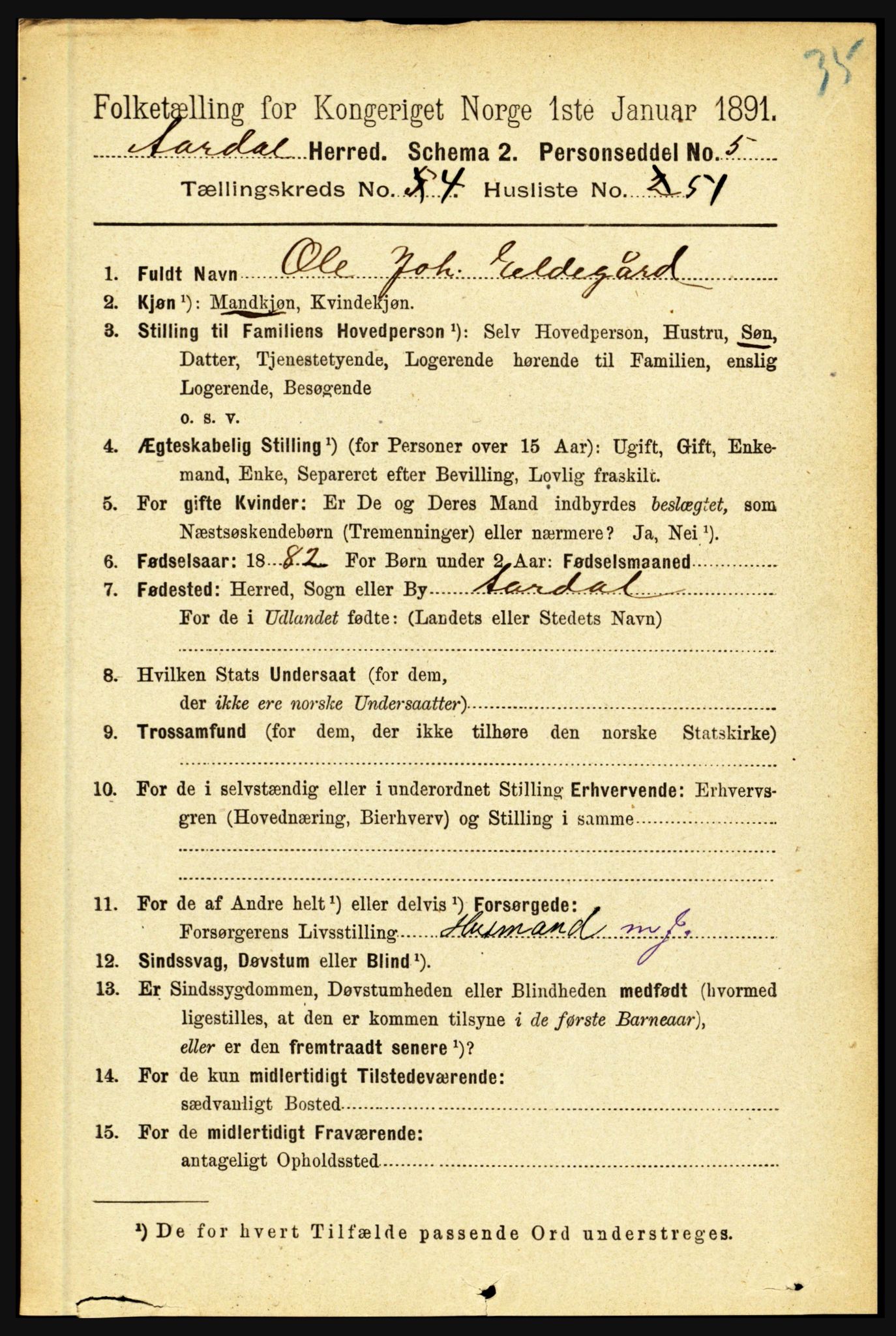 RA, 1891 census for 1424 Årdal, 1891, p. 972