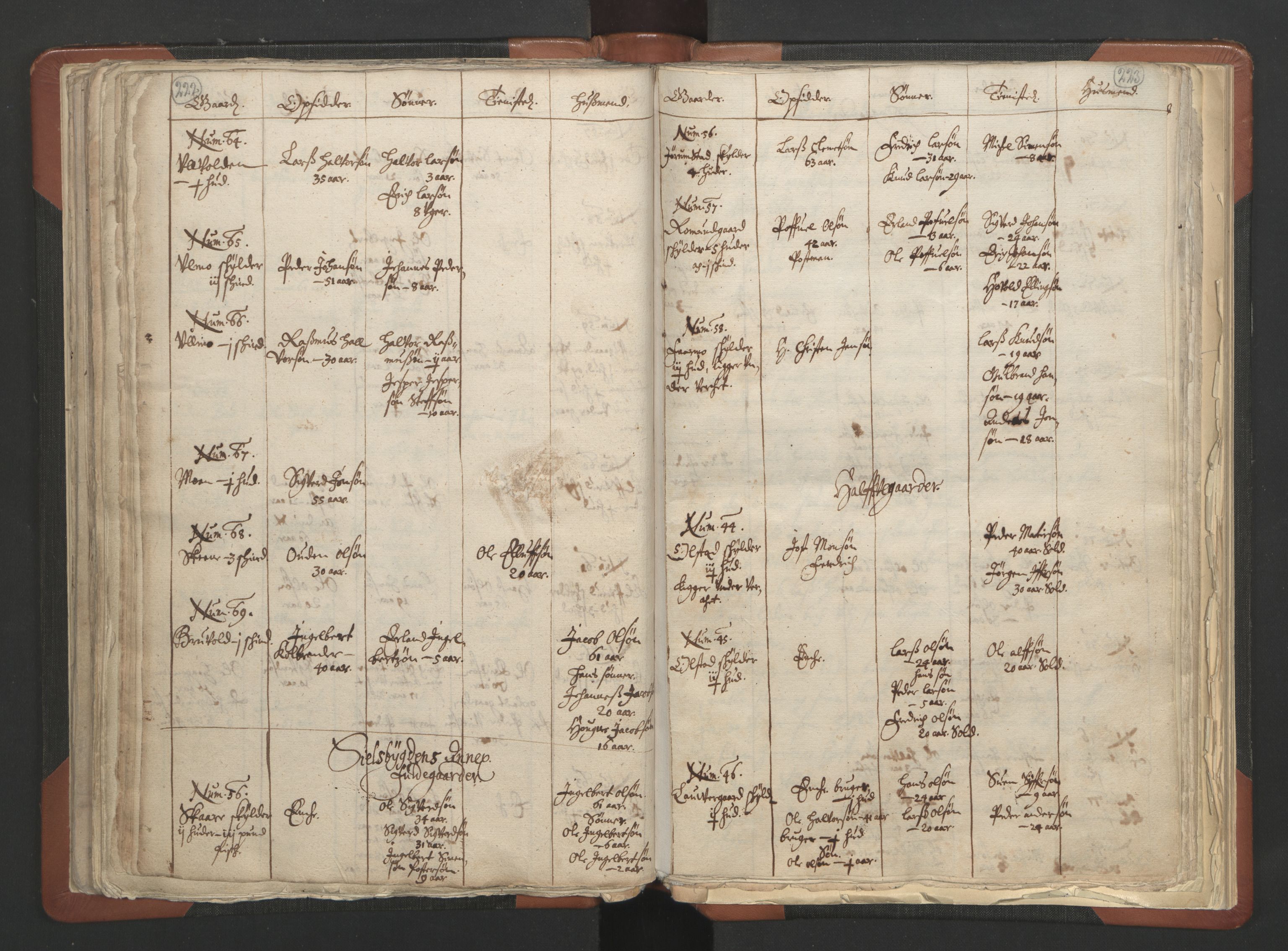RA, Vicar's Census 1664-1666, no. 6: Gudbrandsdal deanery, 1664-1666, p. 222-223