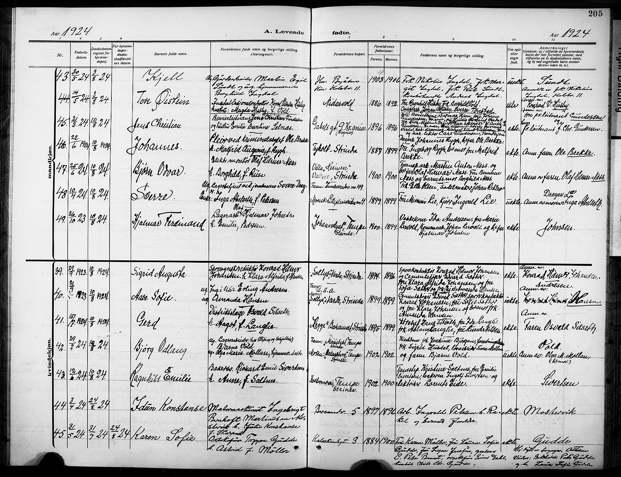 Ministerialprotokoller, klokkerbøker og fødselsregistre - Sør-Trøndelag, SAT/A-1456/601/L0096: Parish register (copy) no. 601C14, 1911-1931, p. 205