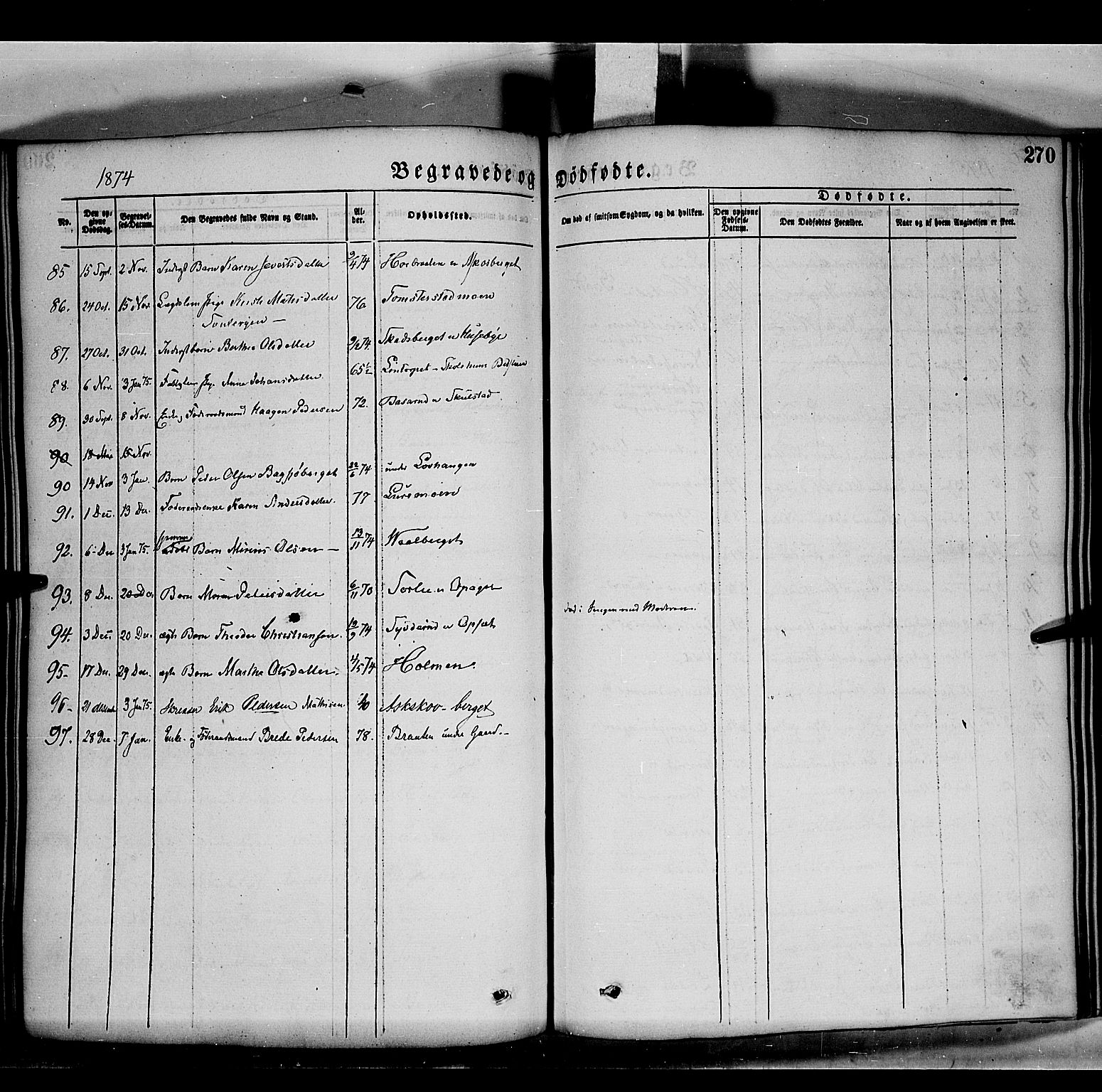 Grue prestekontor, SAH/PREST-036/H/Ha/Haa/L0011: Parish register (official) no. 11, 1873-1880, p. 270