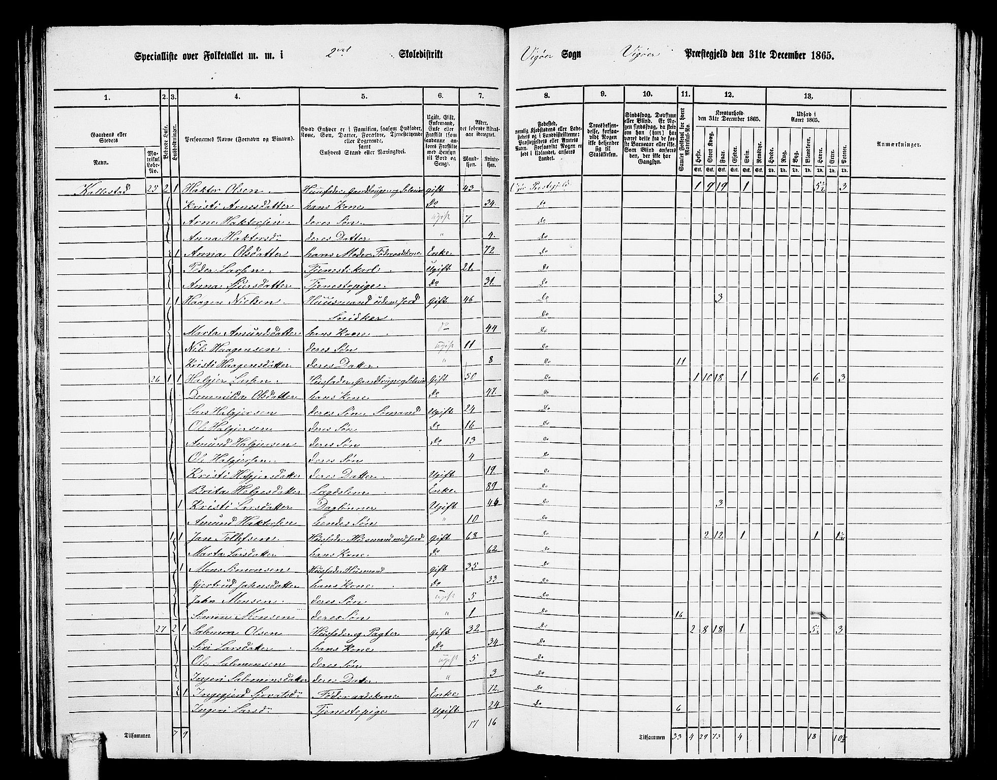 RA, 1865 census for Vikør, 1865, p. 20