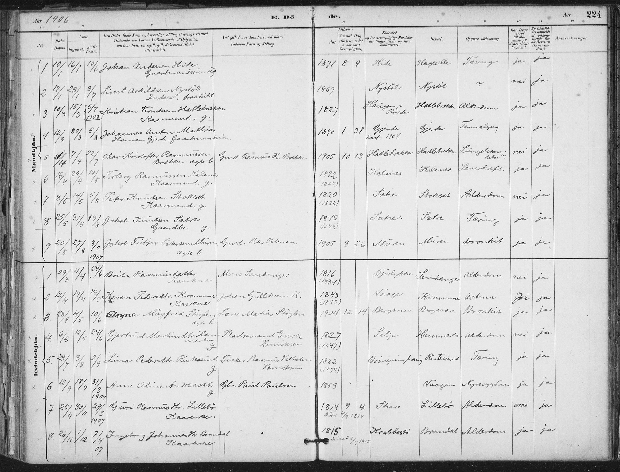 Ministerialprotokoller, klokkerbøker og fødselsregistre - Møre og Romsdal, AV/SAT-A-1454/503/L0037: Parish register (official) no. 503A05, 1884-1900, p. 224