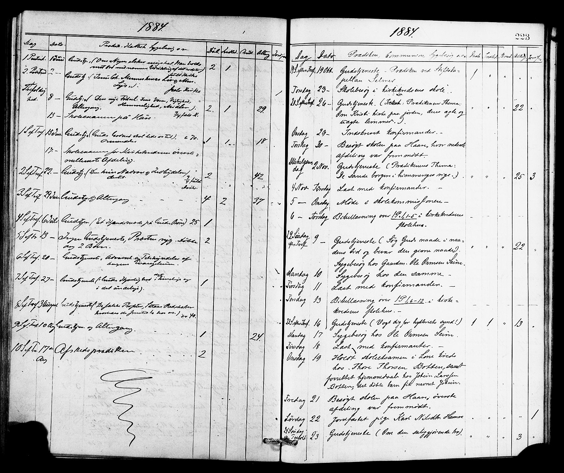 Røldal sokneprestembete, AV/SAB-A-100247: Parish register (official) no. A 4, 1870-1886, p. 223