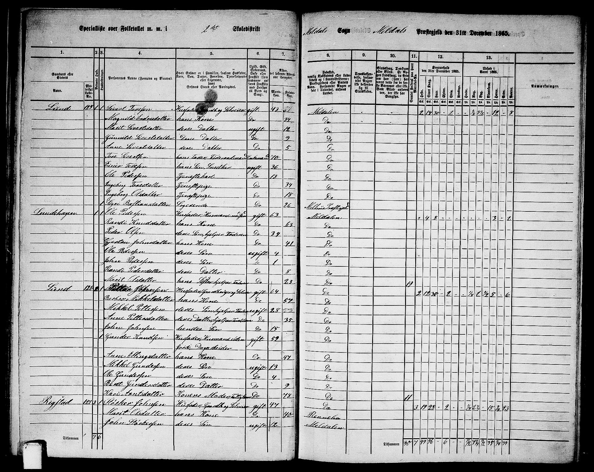 RA, 1865 census for Meldal, 1865, p. 37