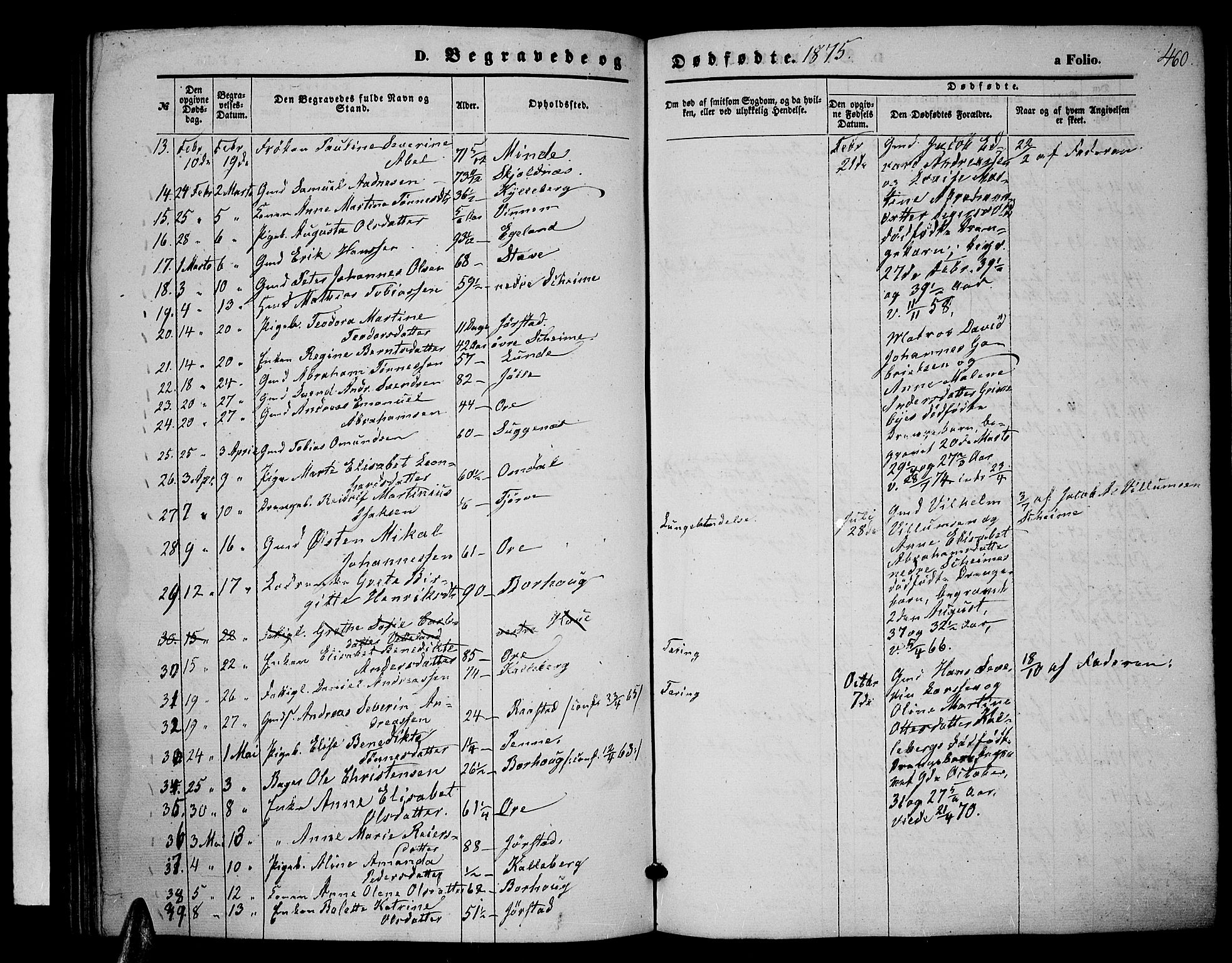 Lista sokneprestkontor, AV/SAK-1111-0027/F/Fb/L0003: Parish register (copy) no. B 3, 1862-1877, p. 460