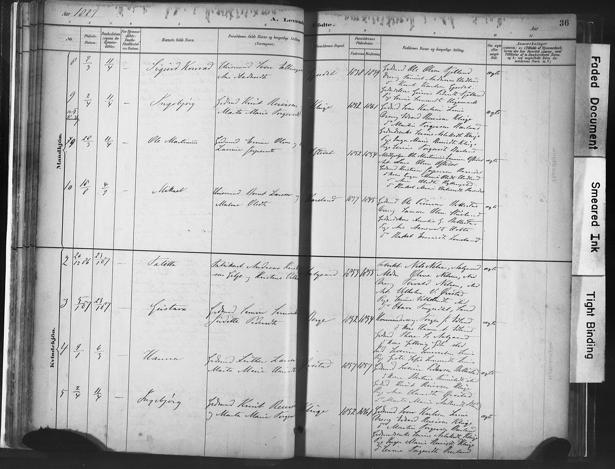 Lye sokneprestkontor, SAST/A-101794/001/30BA/L0010: Parish register (official) no. A 10, 1881-1896, p. 36