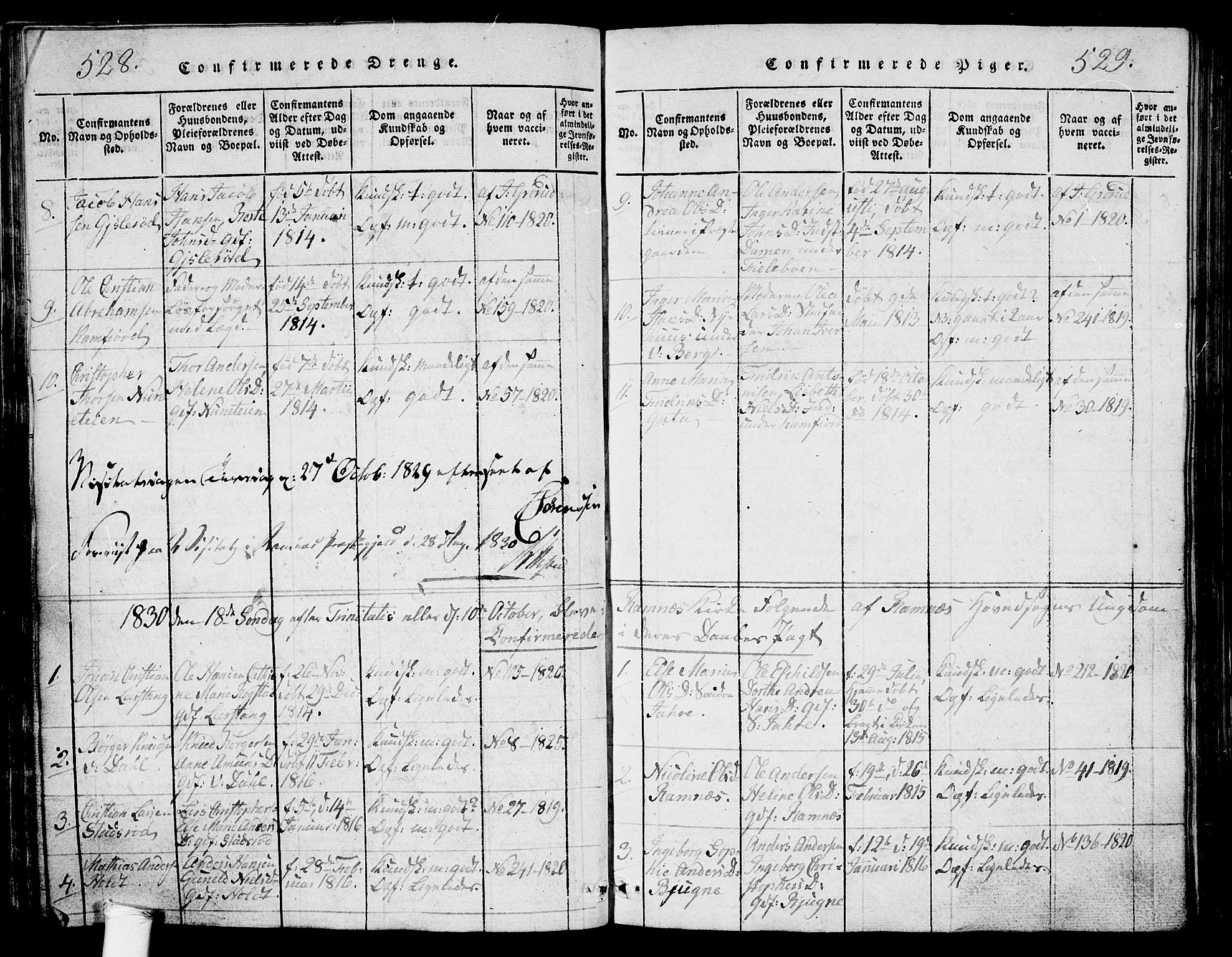 Ramnes kirkebøker, AV/SAKO-A-314/G/Ga/L0001: Parish register (copy) no. I 1, 1813-1847, p. 528-529