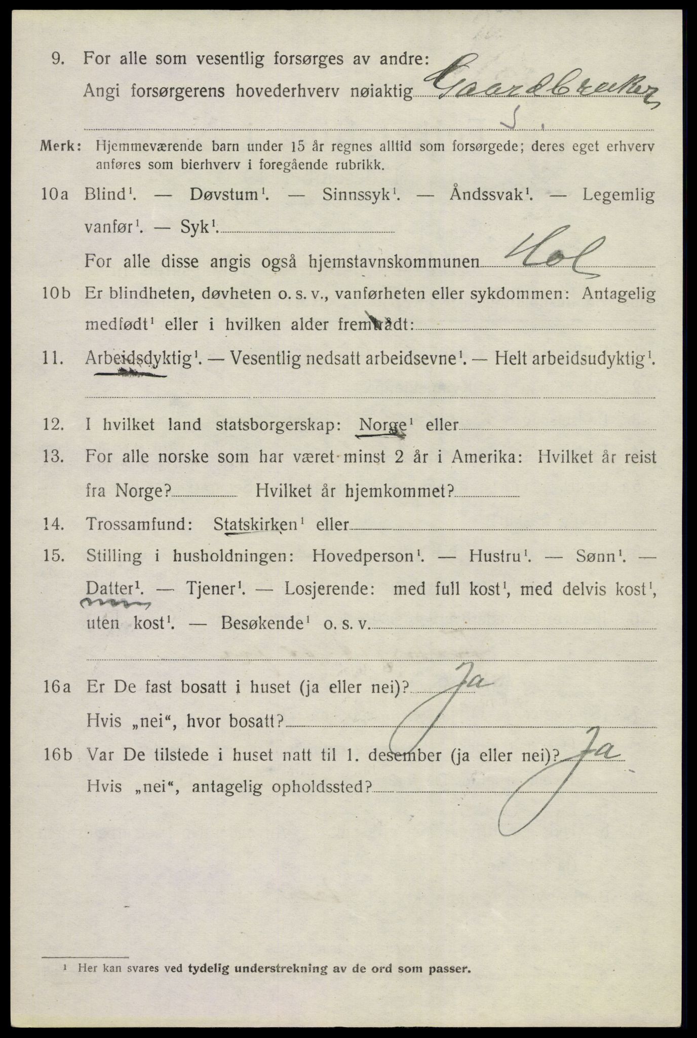 SAKO, 1920 census for Hol (Buskerud), 1920, p. 3776