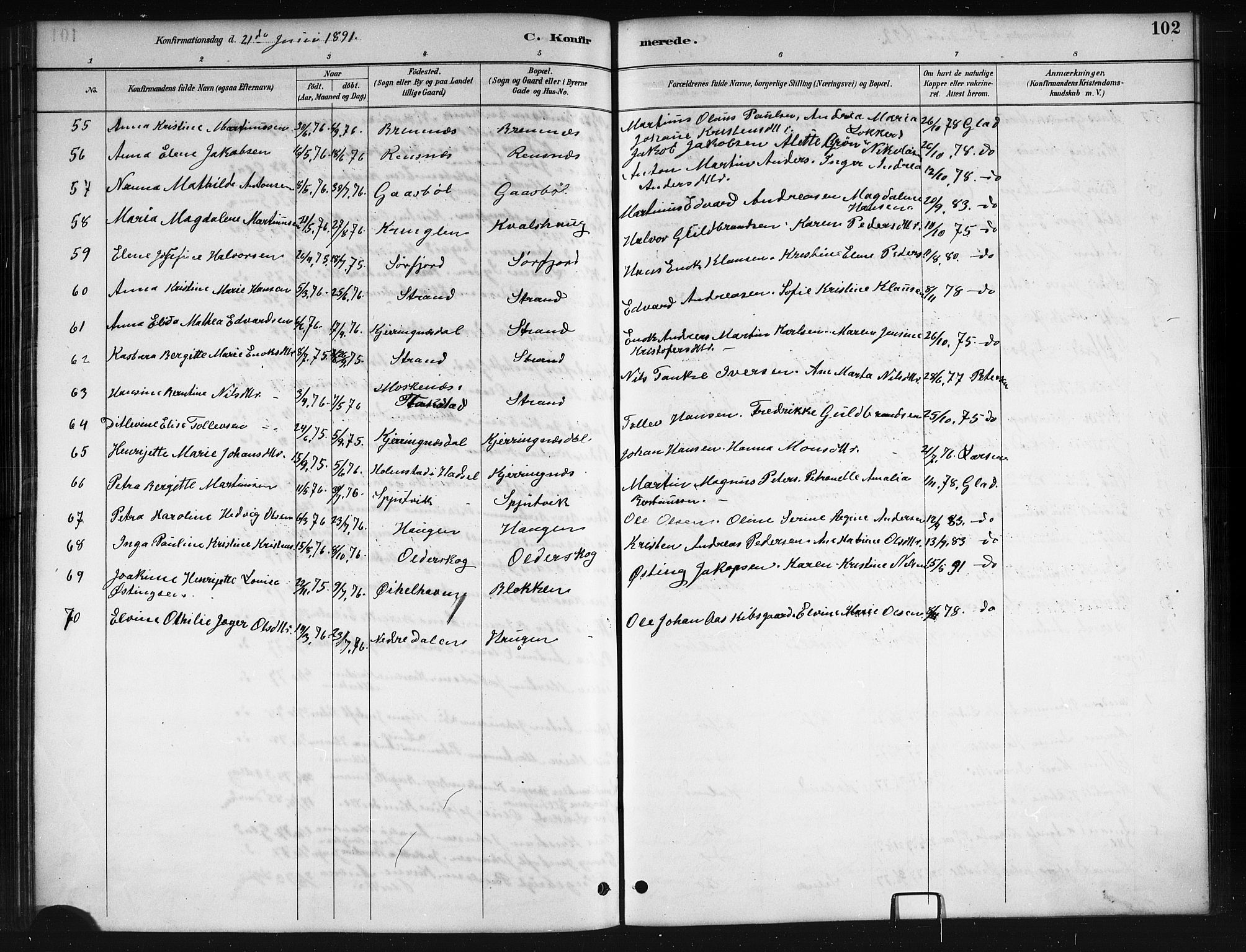 Ministerialprotokoller, klokkerbøker og fødselsregistre - Nordland, AV/SAT-A-1459/895/L1382: Parish register (copy) no. 895C04, 1885-1896, p. 102