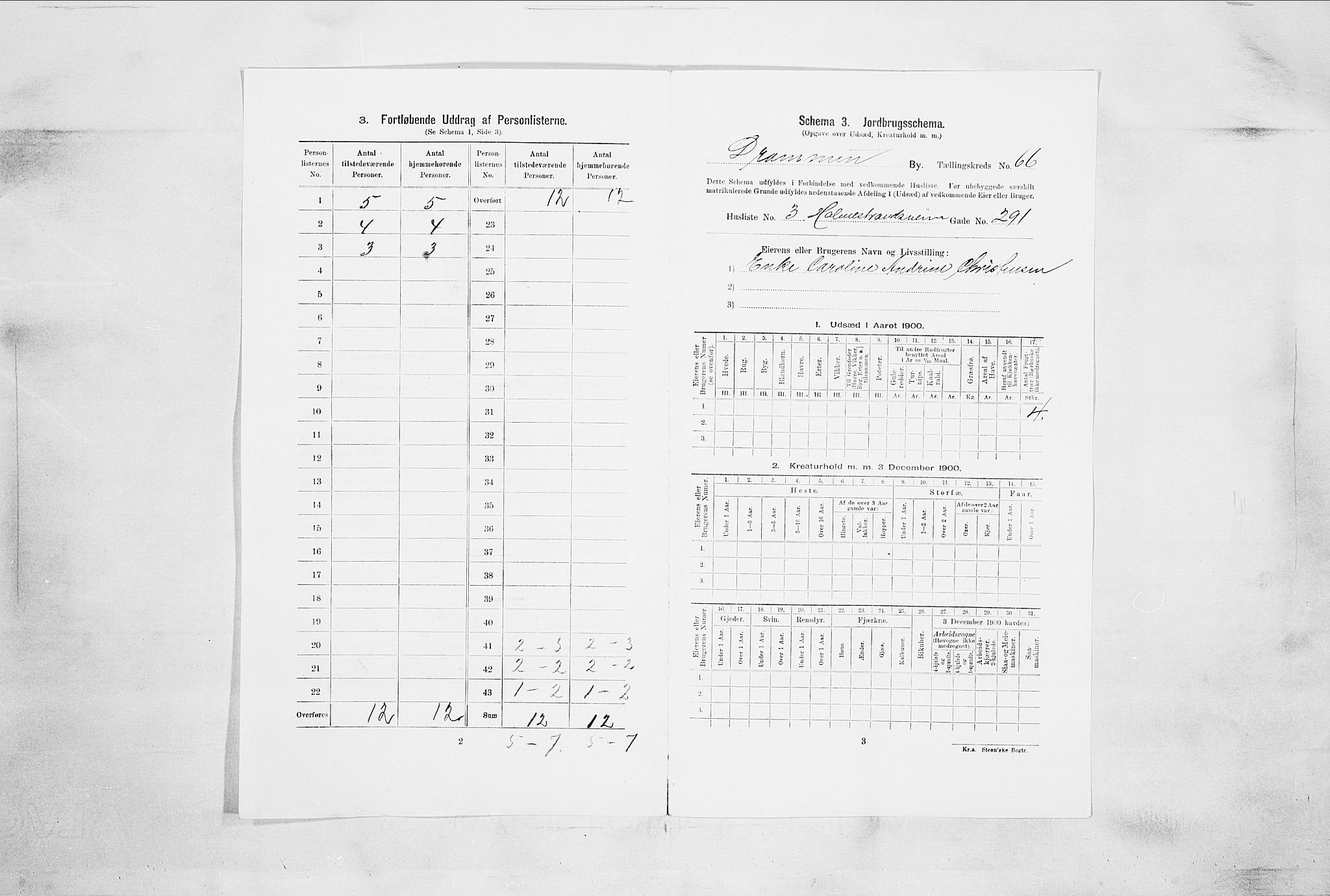 RA, 1900 census for Drammen, 1900, p. 11471