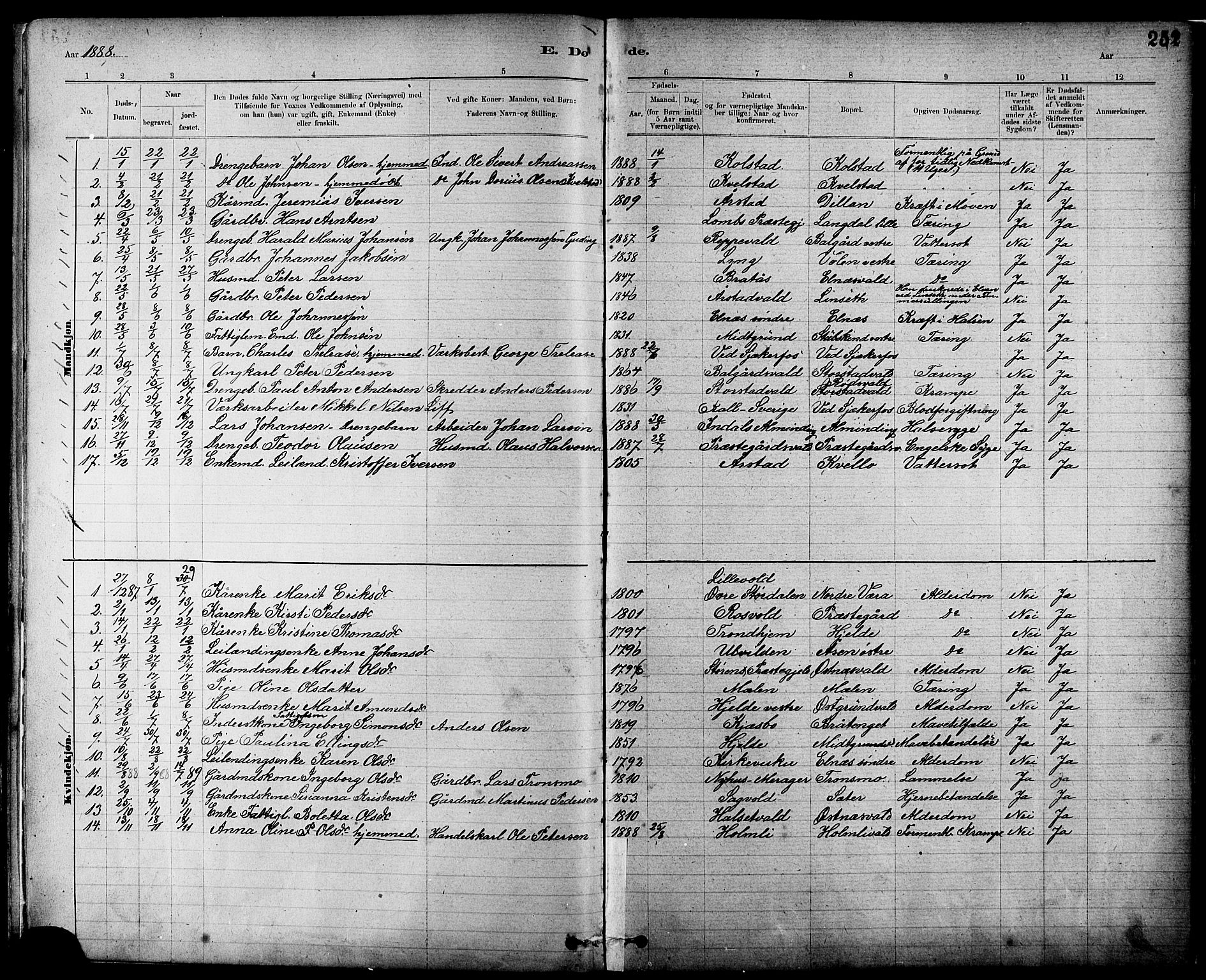 Ministerialprotokoller, klokkerbøker og fødselsregistre - Nord-Trøndelag, SAT/A-1458/724/L0267: Parish register (copy) no. 724C03, 1879-1898, p. 252