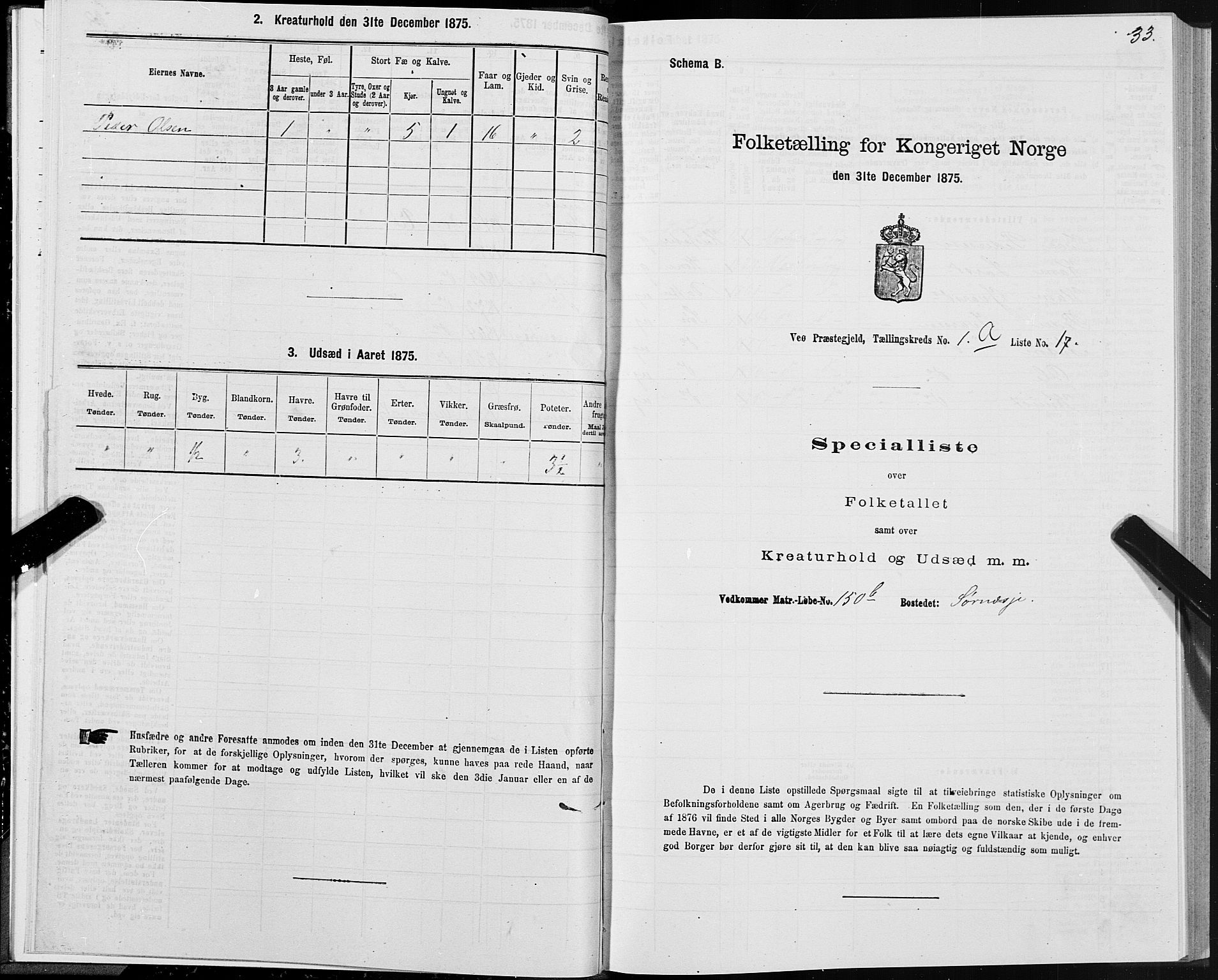 SAT, 1875 census for 1541P Veøy, 1875, p. 1033