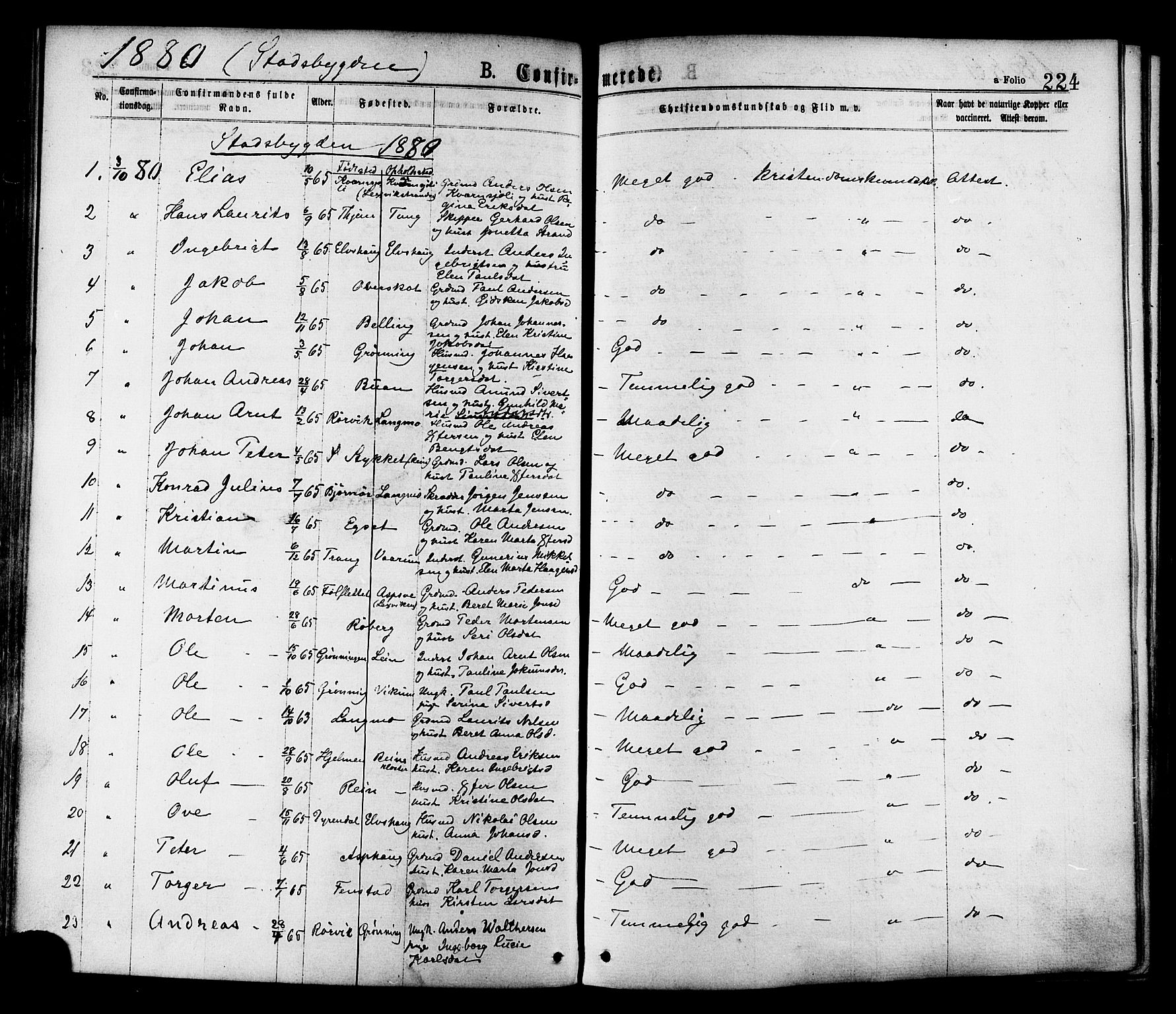 Ministerialprotokoller, klokkerbøker og fødselsregistre - Sør-Trøndelag, SAT/A-1456/646/L0613: Parish register (official) no. 646A11, 1870-1884, p. 224