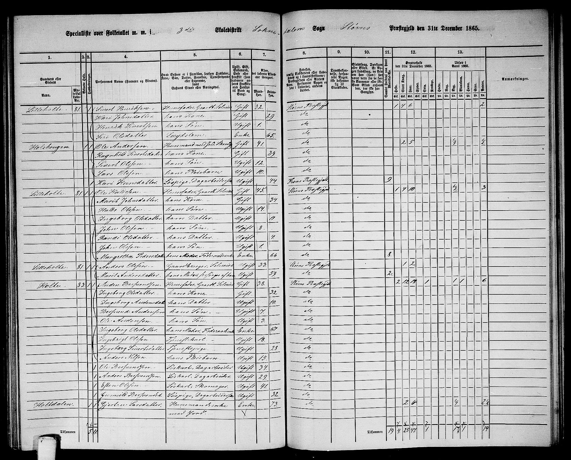 RA, 1865 census for Støren, 1865, p. 260