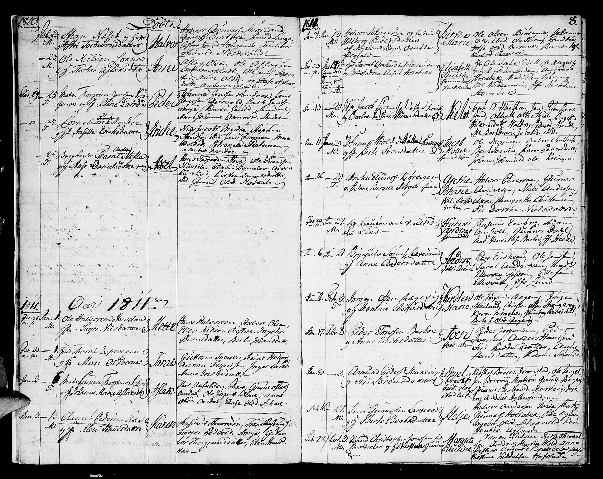 Austre Moland sokneprestkontor, SAK/1111-0001/F/Fa/Faa/L0003: Parish register (official) no. A 3, 1808-1815, p. 8