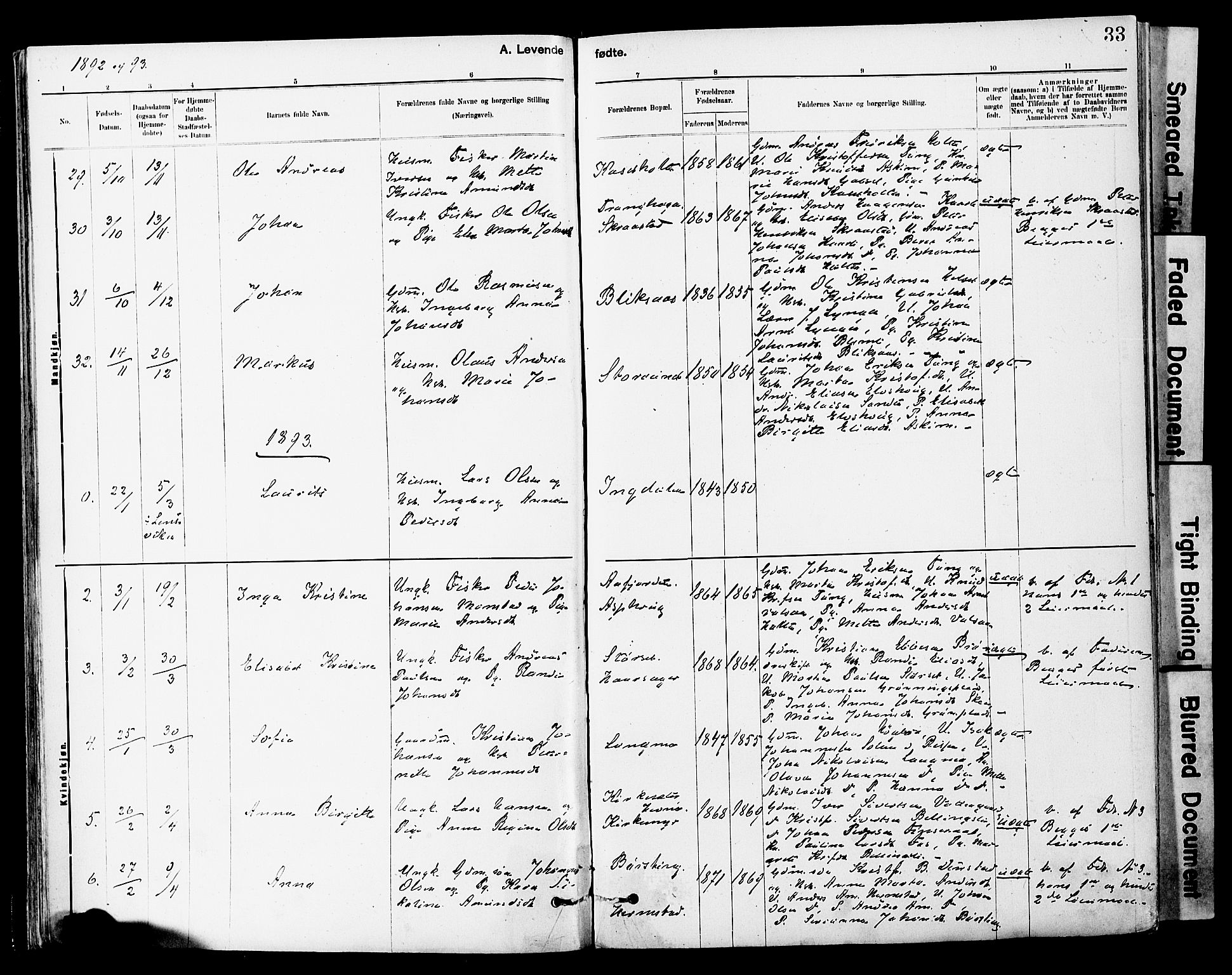 Ministerialprotokoller, klokkerbøker og fødselsregistre - Sør-Trøndelag, SAT/A-1456/646/L0615: Parish register (official) no. 646A13, 1885-1900, p. 33