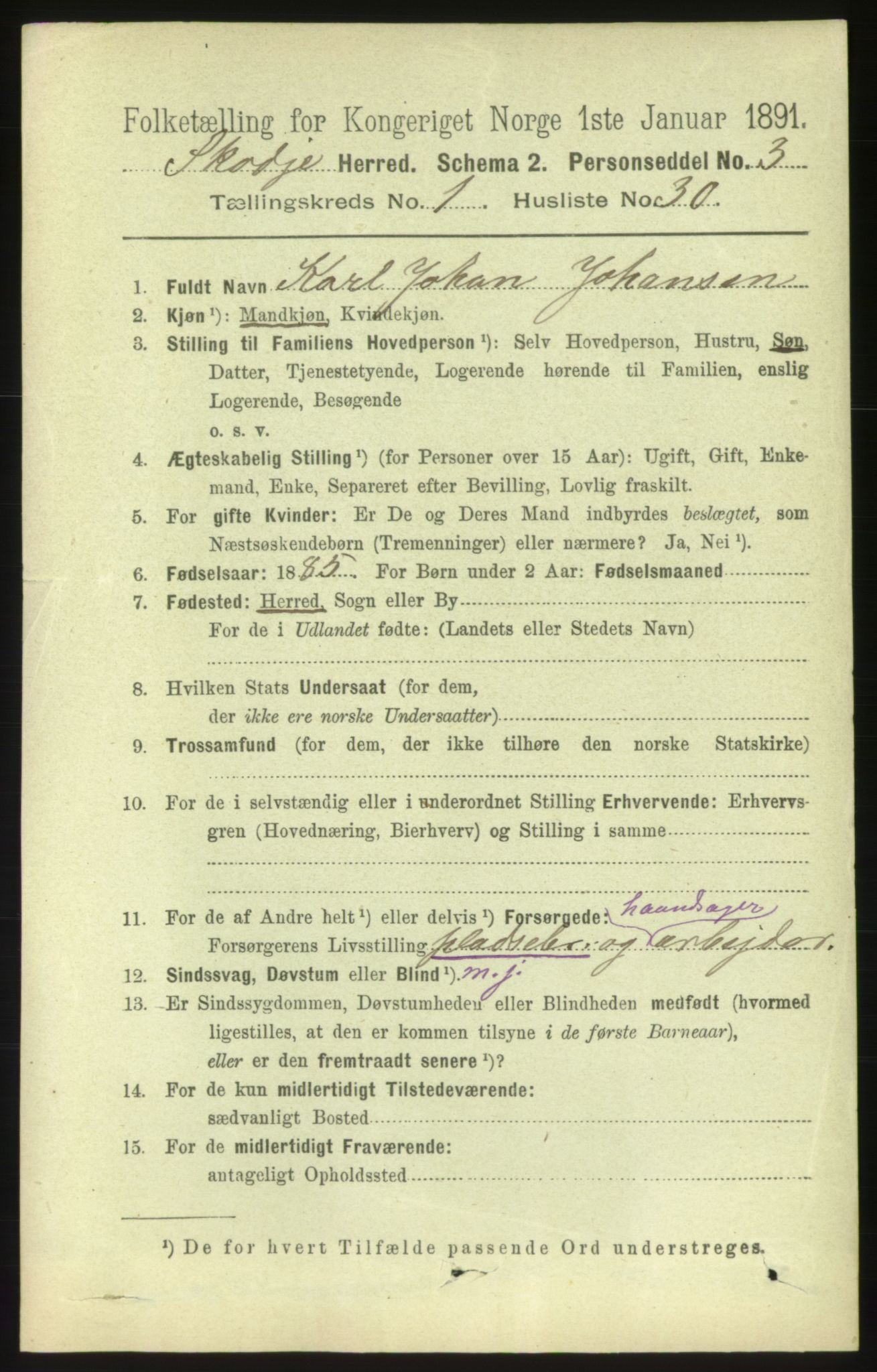 RA, 1891 census for 1529 Skodje, 1891, p. 243