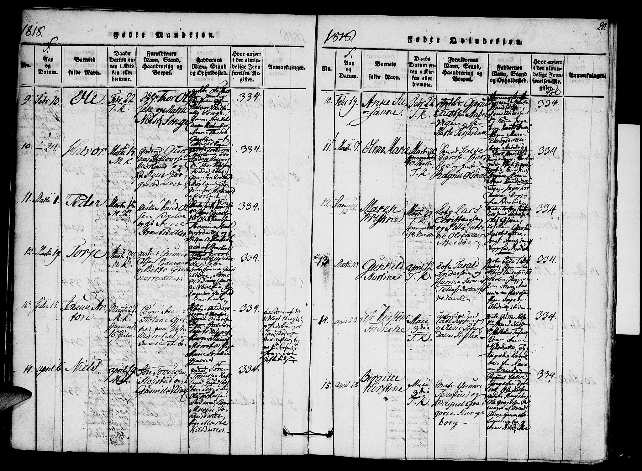 Austre Moland sokneprestkontor, SAK/1111-0001/F/Fa/Faa/L0004: Parish register (official) no. A 4, 1816-1824, p. 20