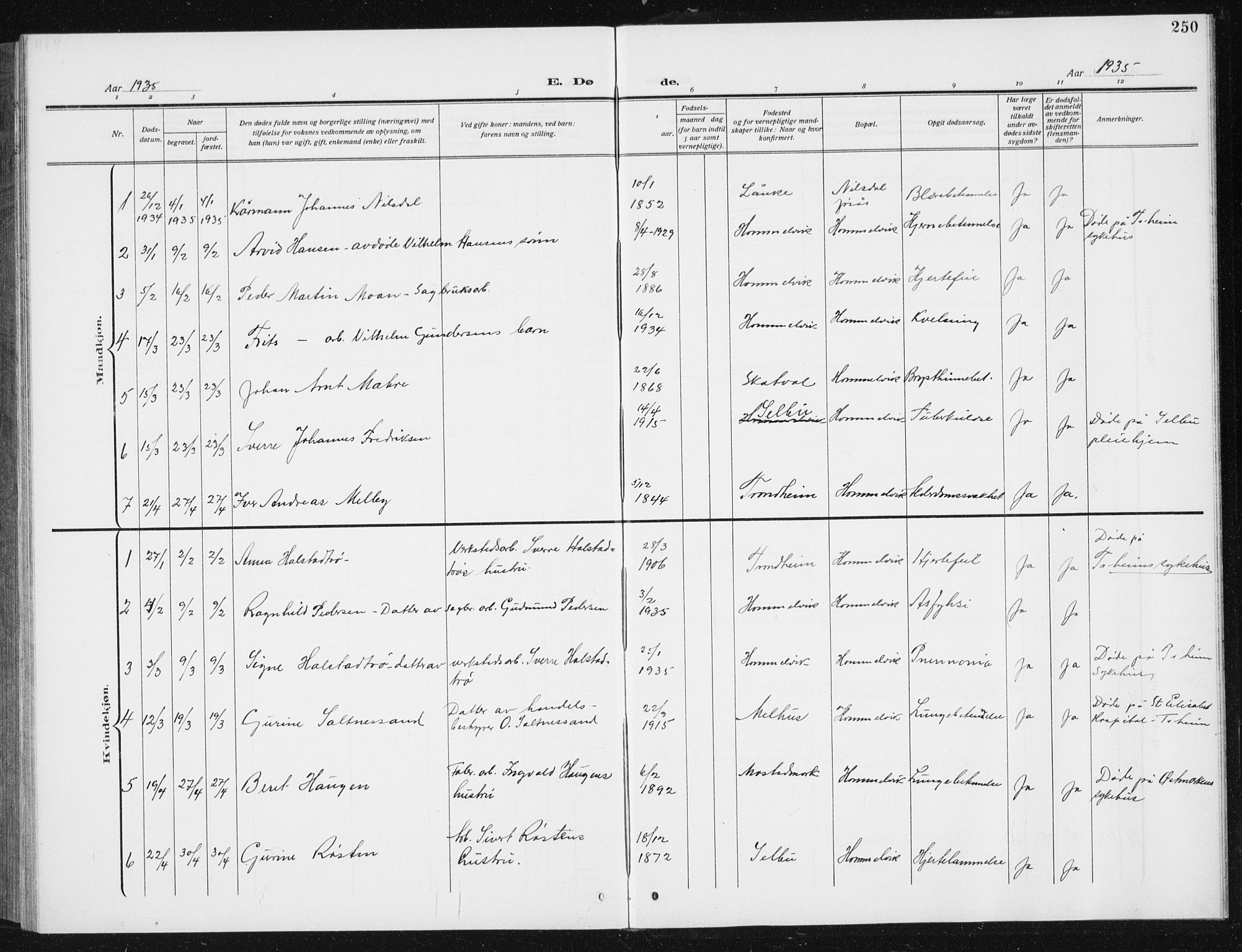 Ministerialprotokoller, klokkerbøker og fødselsregistre - Sør-Trøndelag, SAT/A-1456/617/L0431: Parish register (copy) no. 617C02, 1910-1936, p. 250