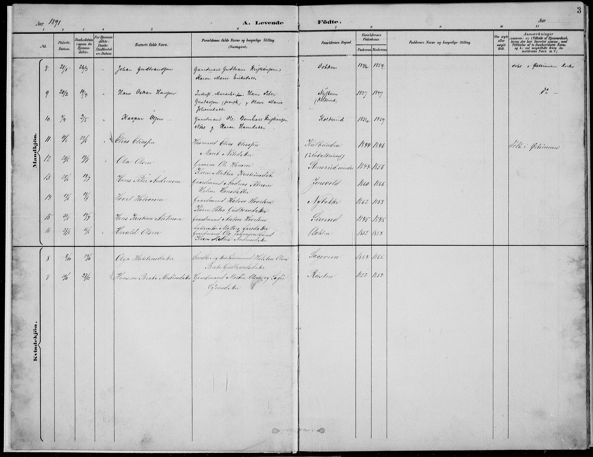Nordre Land prestekontor, AV/SAH-PREST-124/H/Ha/Hab/L0013: Parish register (copy) no. 13, 1891-1904, p. 3