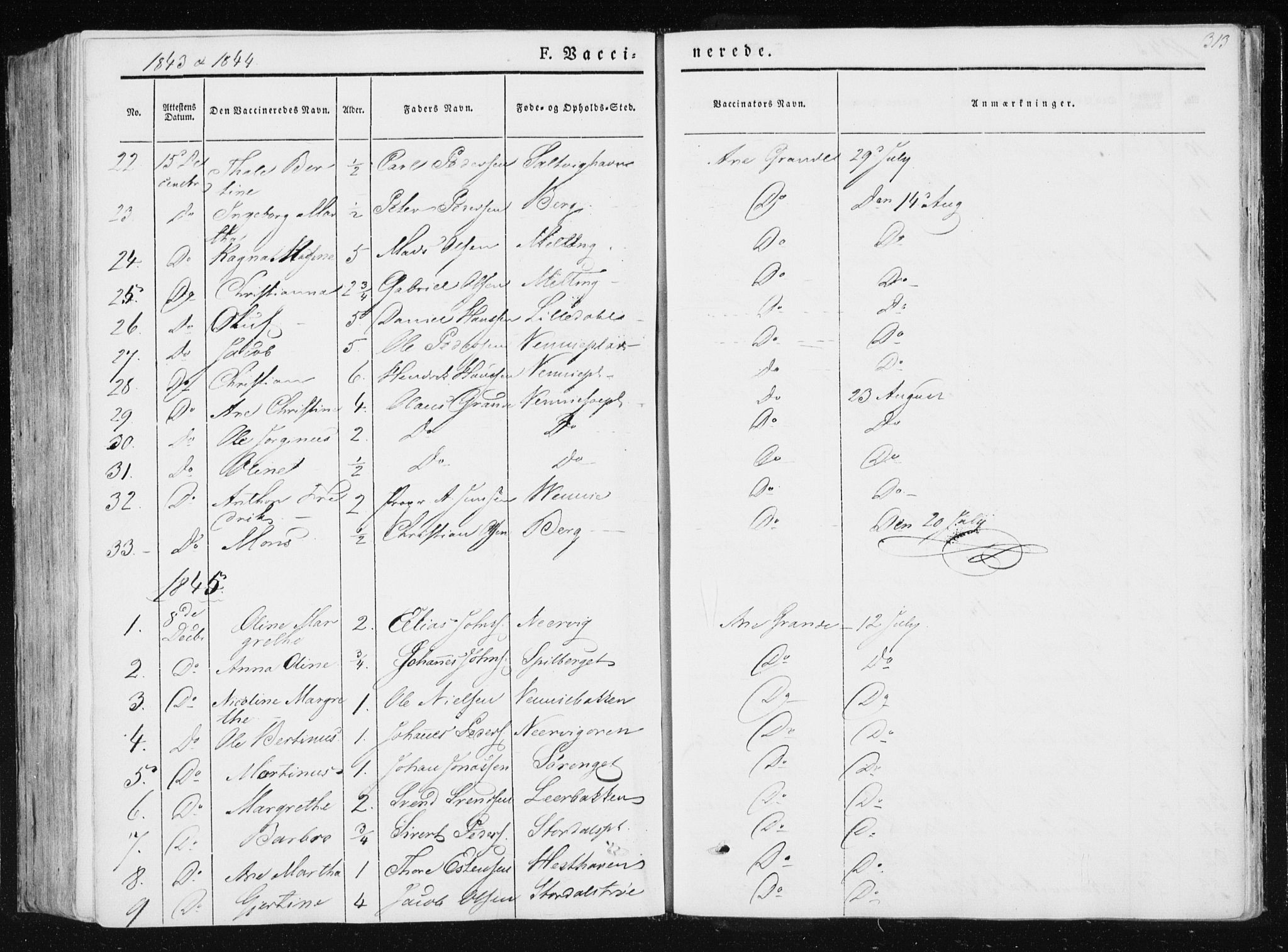 Ministerialprotokoller, klokkerbøker og fødselsregistre - Nord-Trøndelag, SAT/A-1458/733/L0323: Parish register (official) no. 733A02, 1843-1870, p. 313