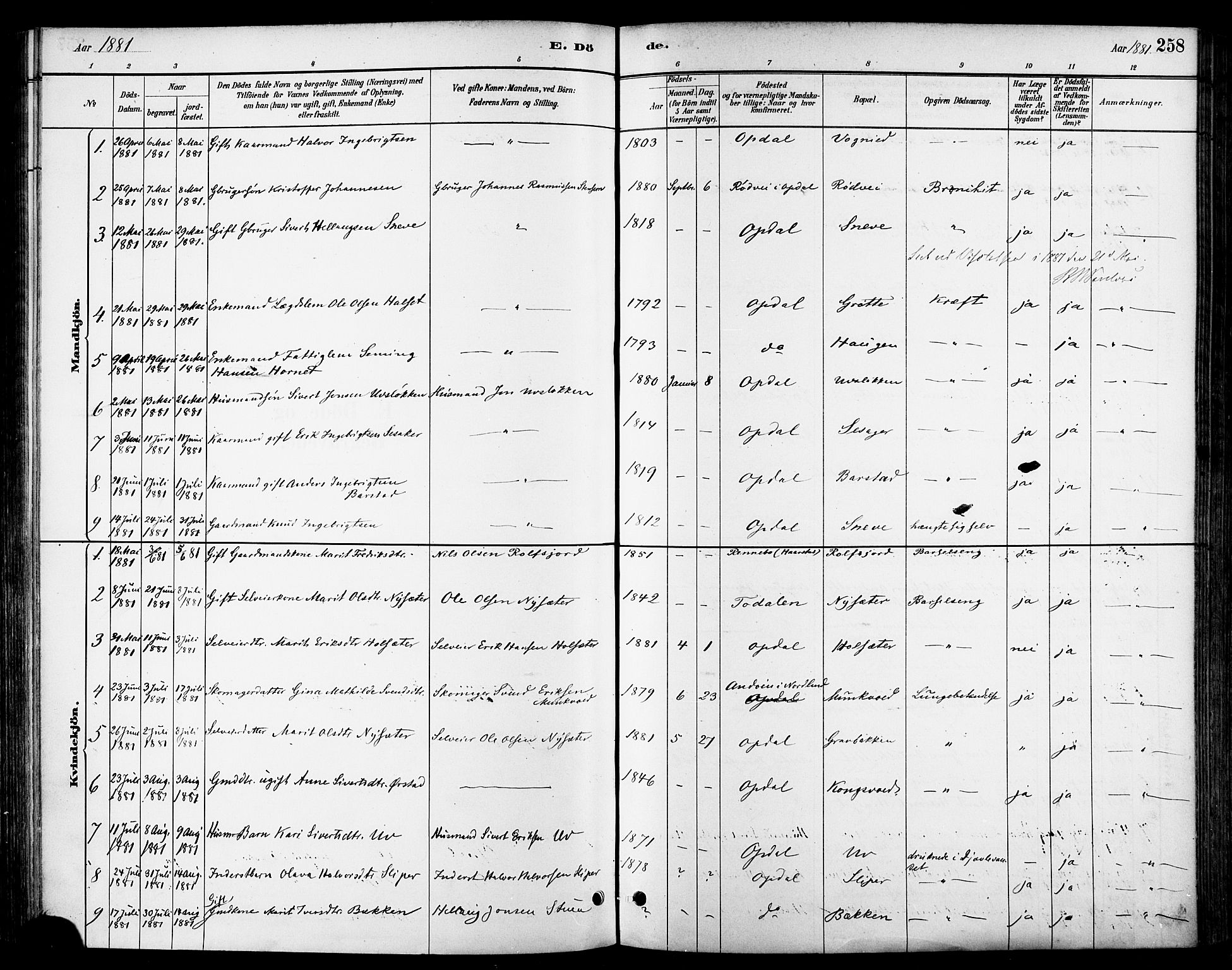 Ministerialprotokoller, klokkerbøker og fødselsregistre - Sør-Trøndelag, SAT/A-1456/678/L0901: Parish register (official) no. 678A10, 1881-1894, p. 258