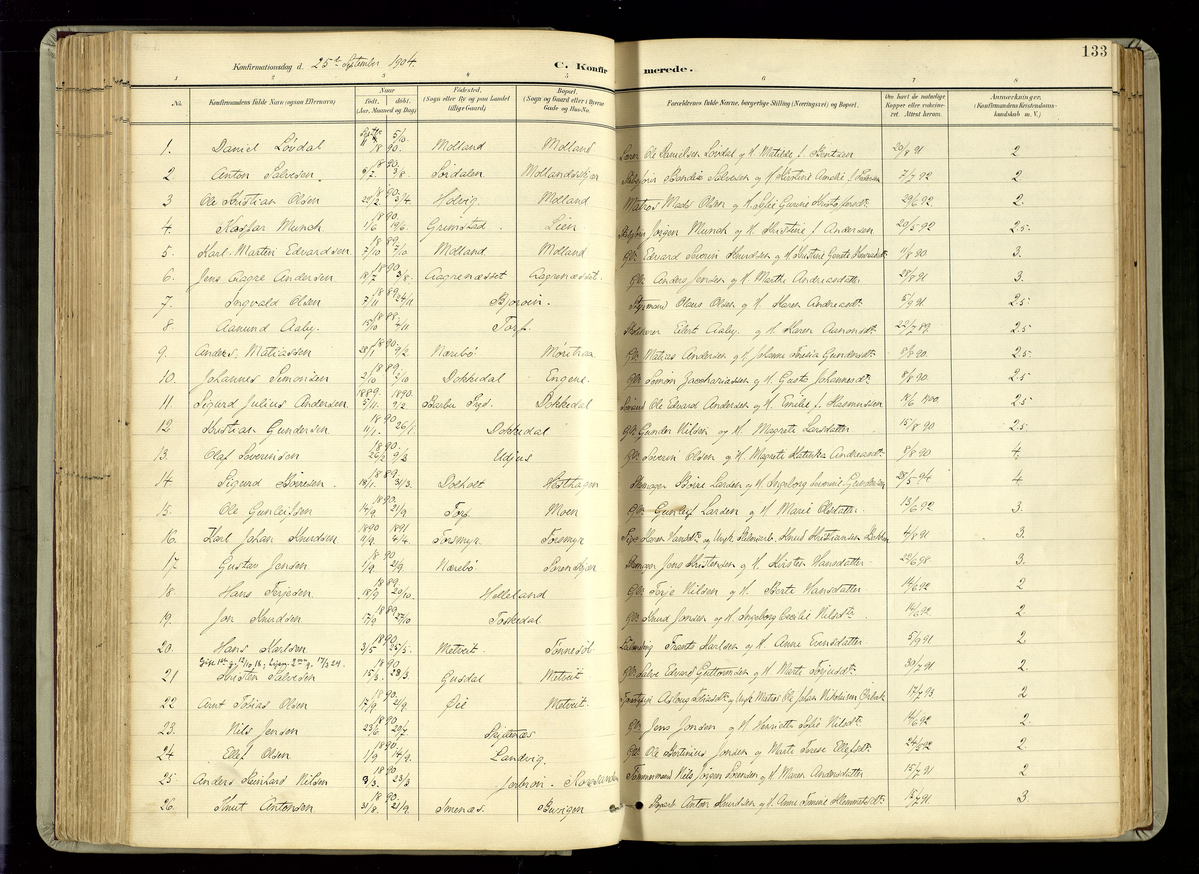 Hommedal sokneprestkontor, AV/SAK-1111-0023/F/Fa/Fab/L0007: Parish register (official) no. A 7, 1898-1924, p. 133