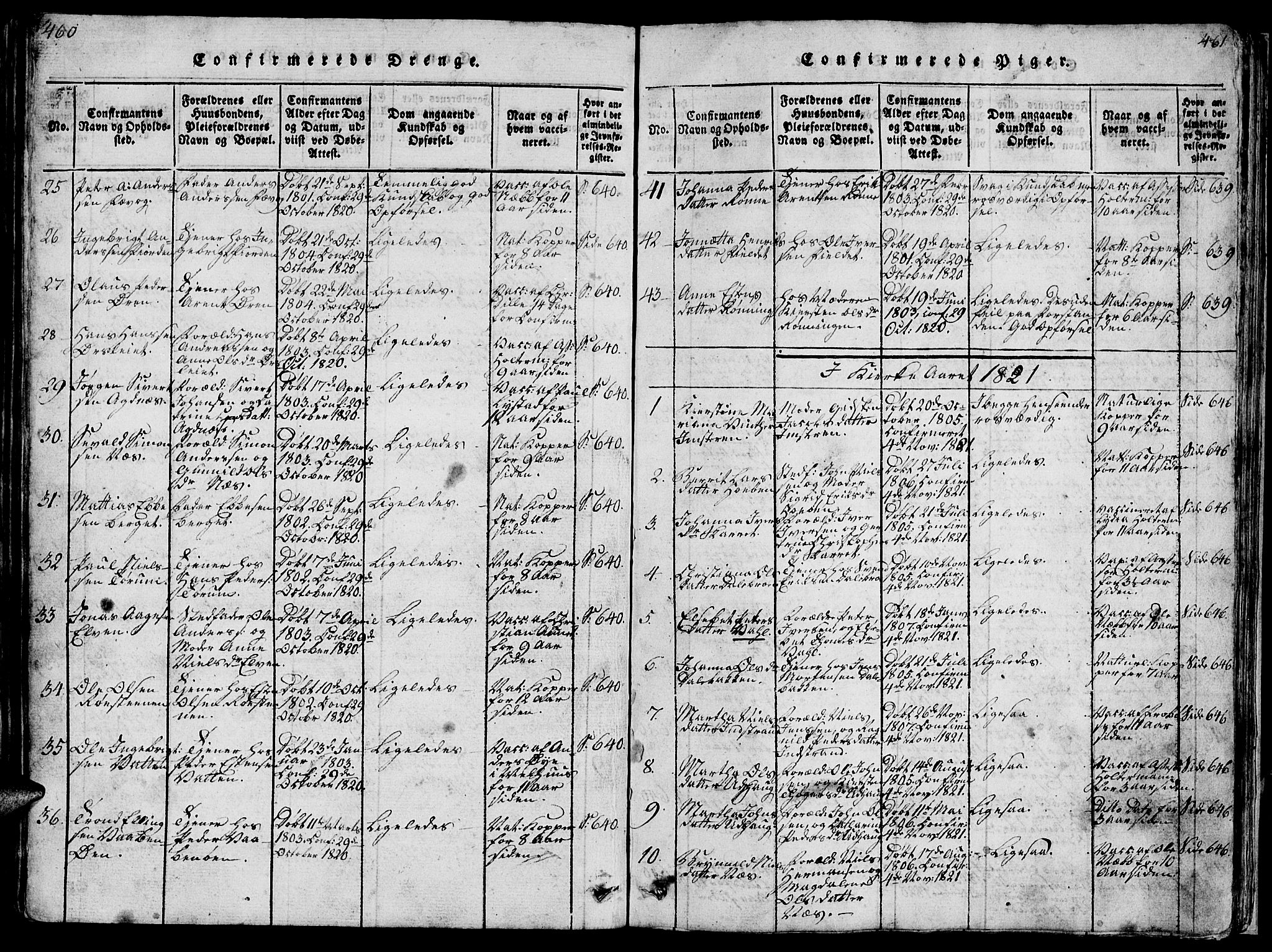 Ministerialprotokoller, klokkerbøker og fødselsregistre - Sør-Trøndelag, AV/SAT-A-1456/659/L0744: Parish register (copy) no. 659C01, 1818-1825, p. 460-461