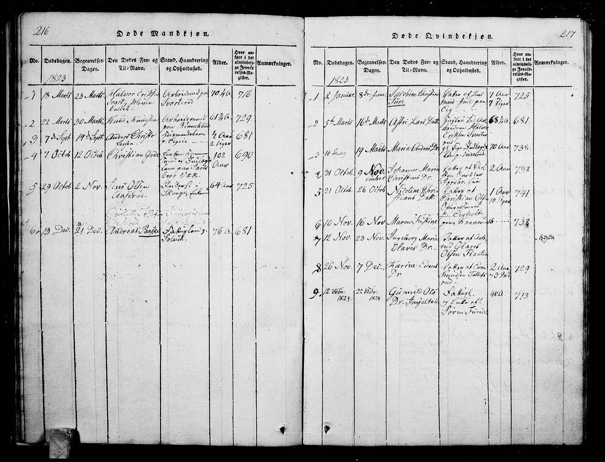 Skoger kirkebøker, SAKO/A-59/G/Ga/L0001: Parish register (copy) no. I 1, 1814-1845, p. 216-217