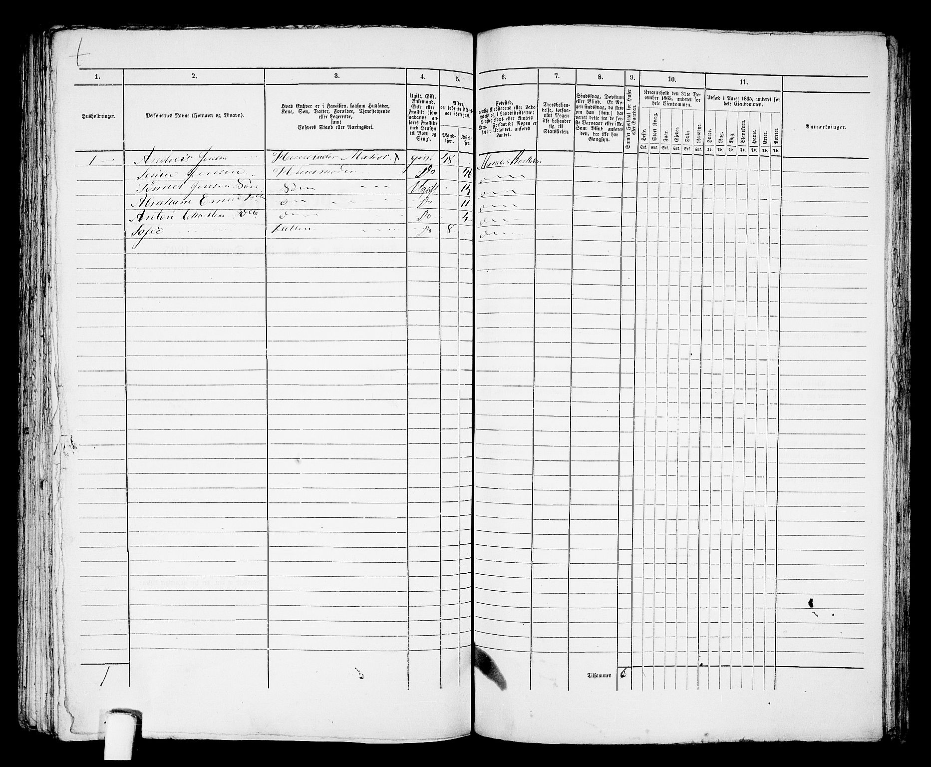 RA, 1865 census for Mandal/Mandal, 1865, p. 849