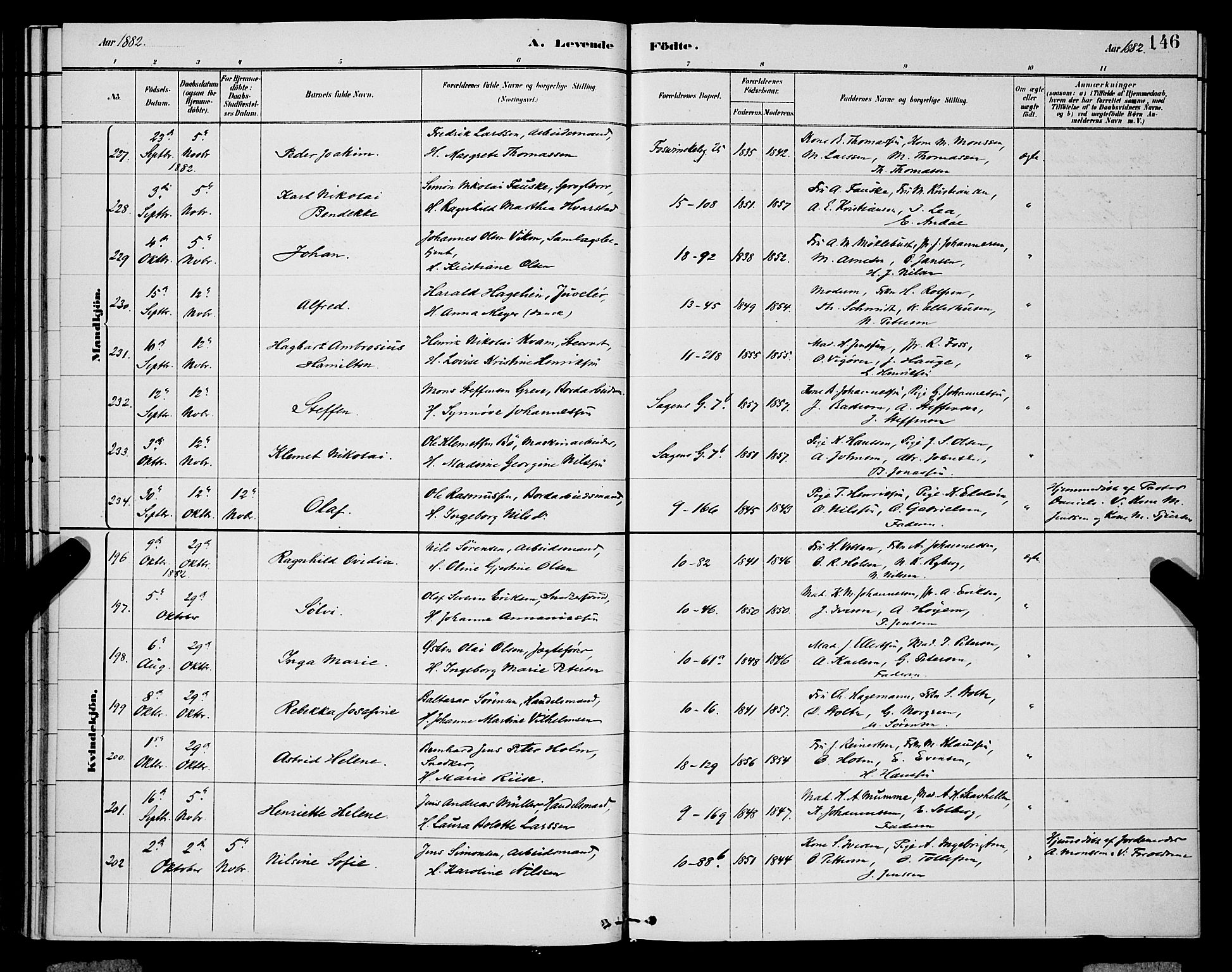 Domkirken sokneprestembete, SAB/A-74801/H/Hab/L0015: Parish register (copy) no. B 8, 1879-1887, p. 146