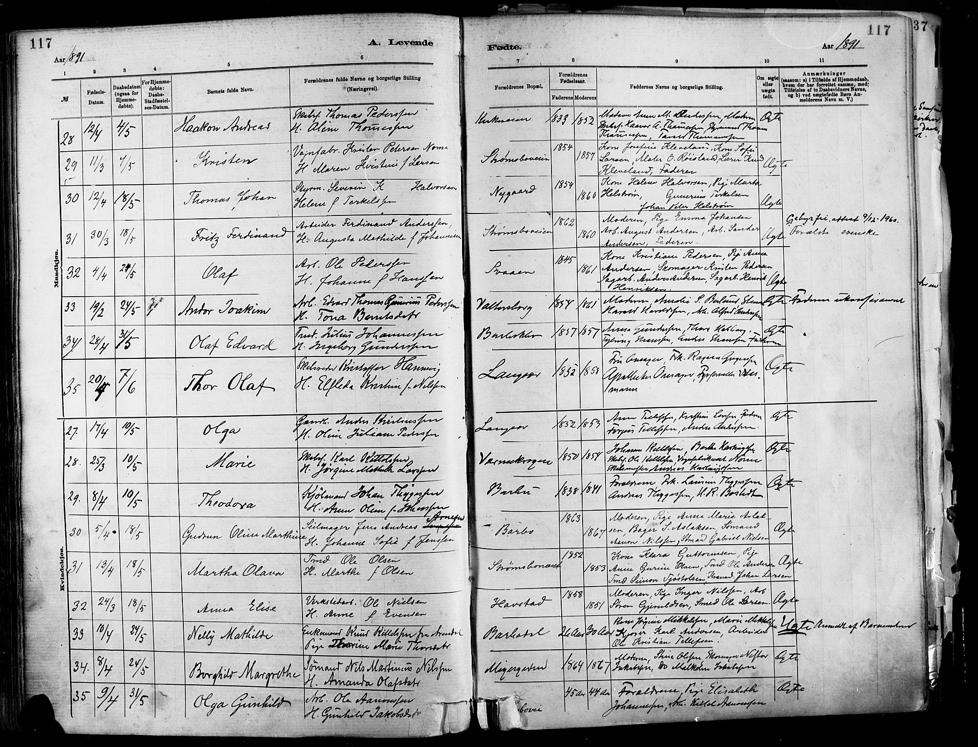 Barbu sokneprestkontor, SAK/1111-0003/F/Fa/L0002: Parish register (official) no. A 2, 1883-1898, p. 117