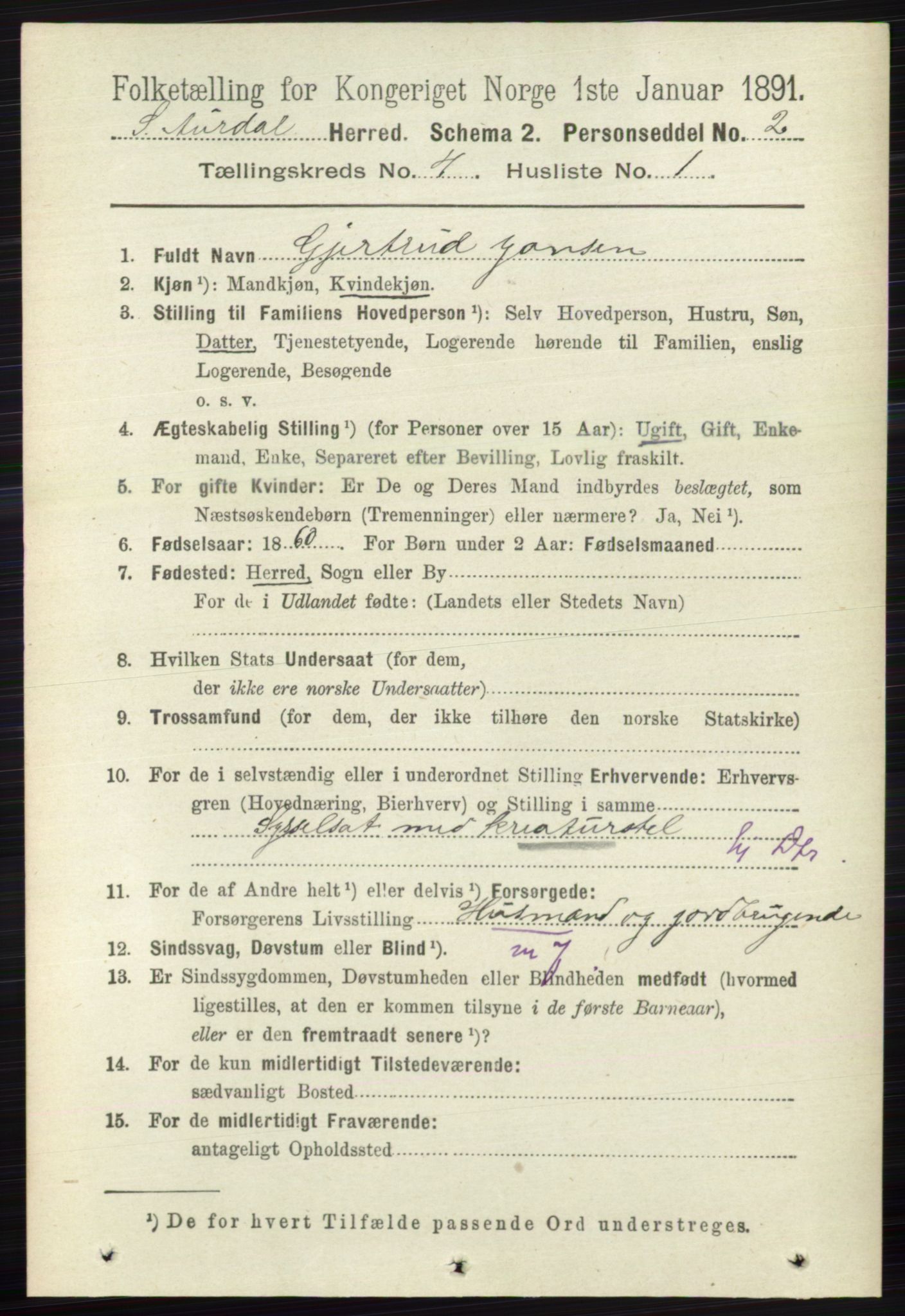 RA, 1891 census for 0540 Sør-Aurdal, 1891, p. 2400