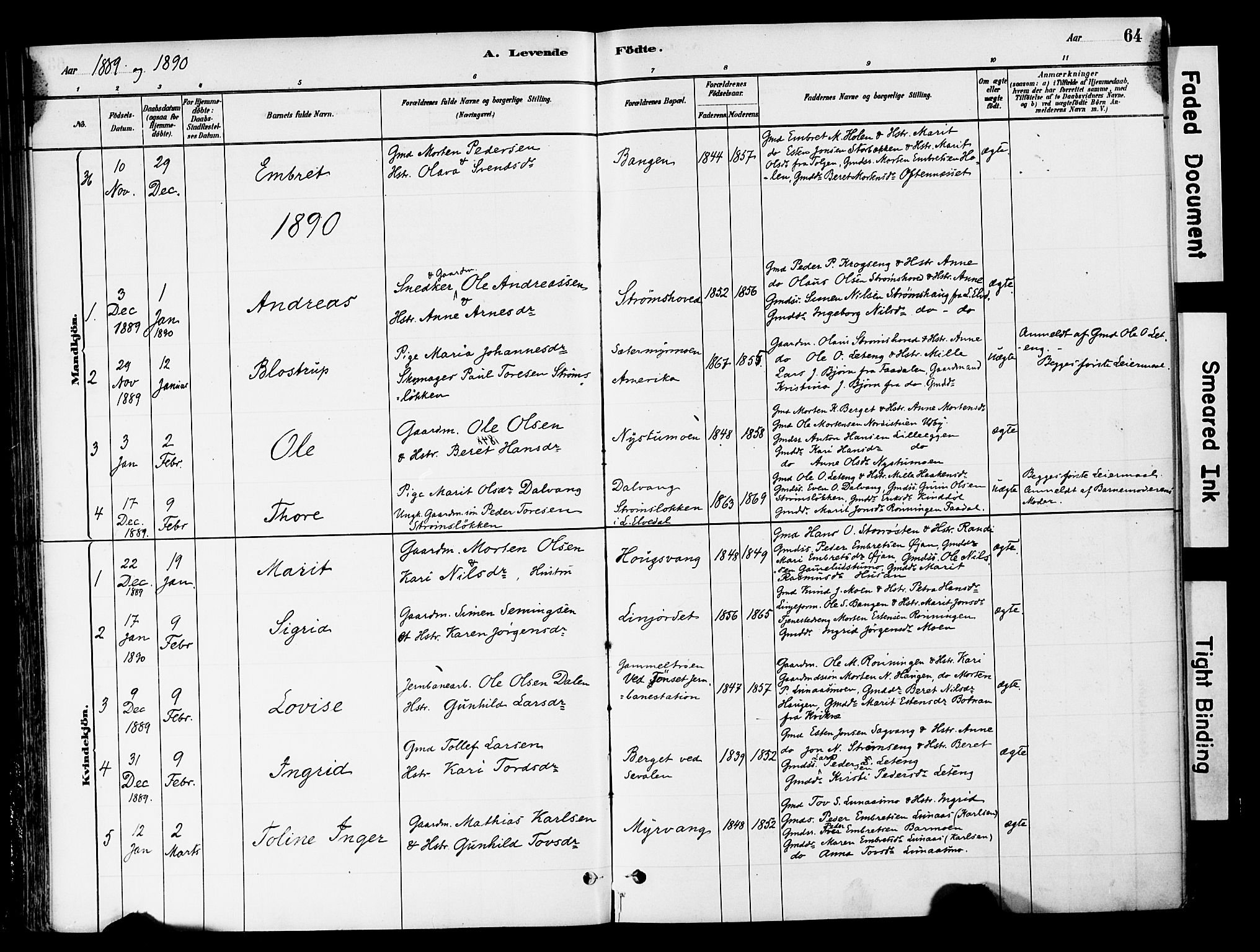 Tynset prestekontor, SAH/PREST-058/H/Ha/Haa/L0022: Parish register (official) no. 22, 1880-1899, p. 64