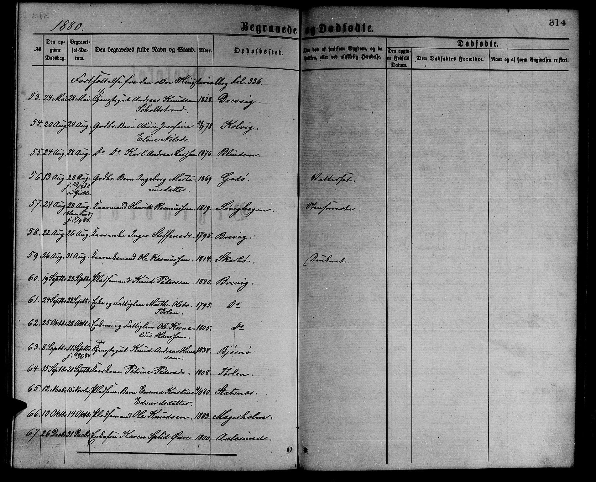 Ministerialprotokoller, klokkerbøker og fødselsregistre - Møre og Romsdal, AV/SAT-A-1454/528/L0429: Parish register (copy) no. 528C10, 1872-1886, p. 314