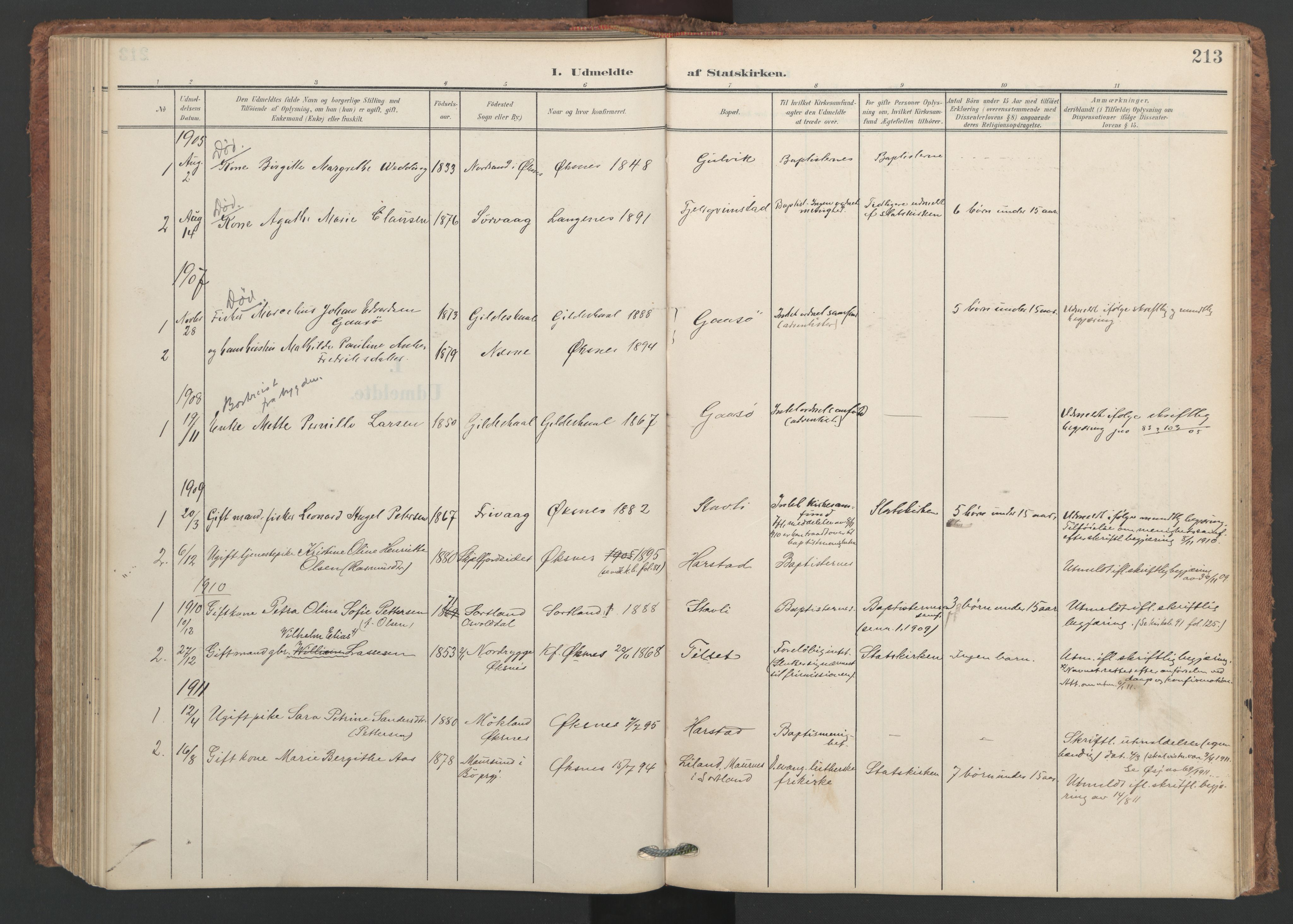 Ministerialprotokoller, klokkerbøker og fødselsregistre - Nordland, AV/SAT-A-1459/893/L1339: Parish register (official) no. 893A11, 1904-1914, p. 213