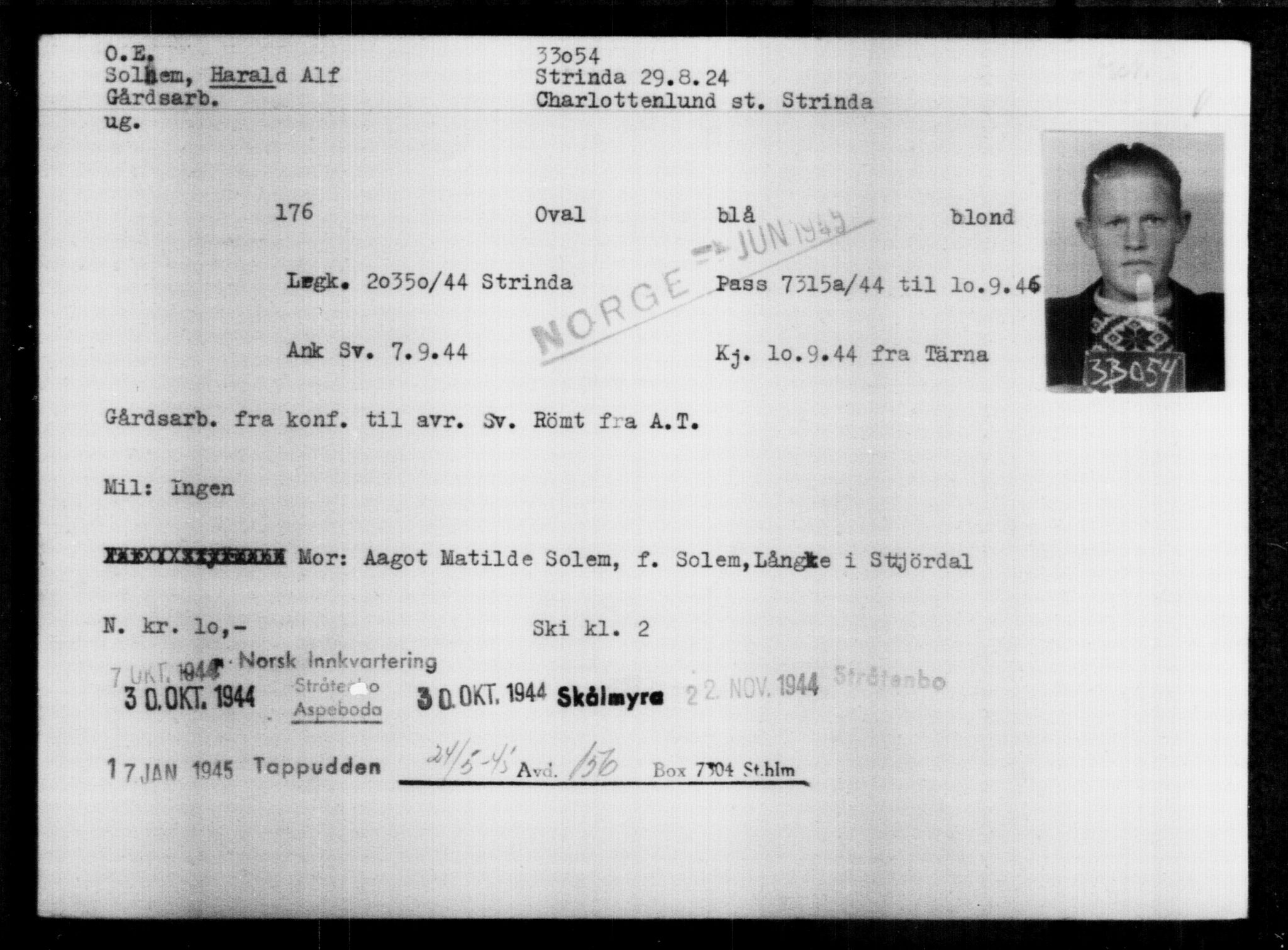 Utenriksstasjonene, Legasjonen i Stockholm, Flyktningkontoret, AV/RA-S-6753/V/Va/L0013: Kjesäterkartoteket, flyktninger med registreringsnr. 31500-34731, 1940-1945, p. 1629