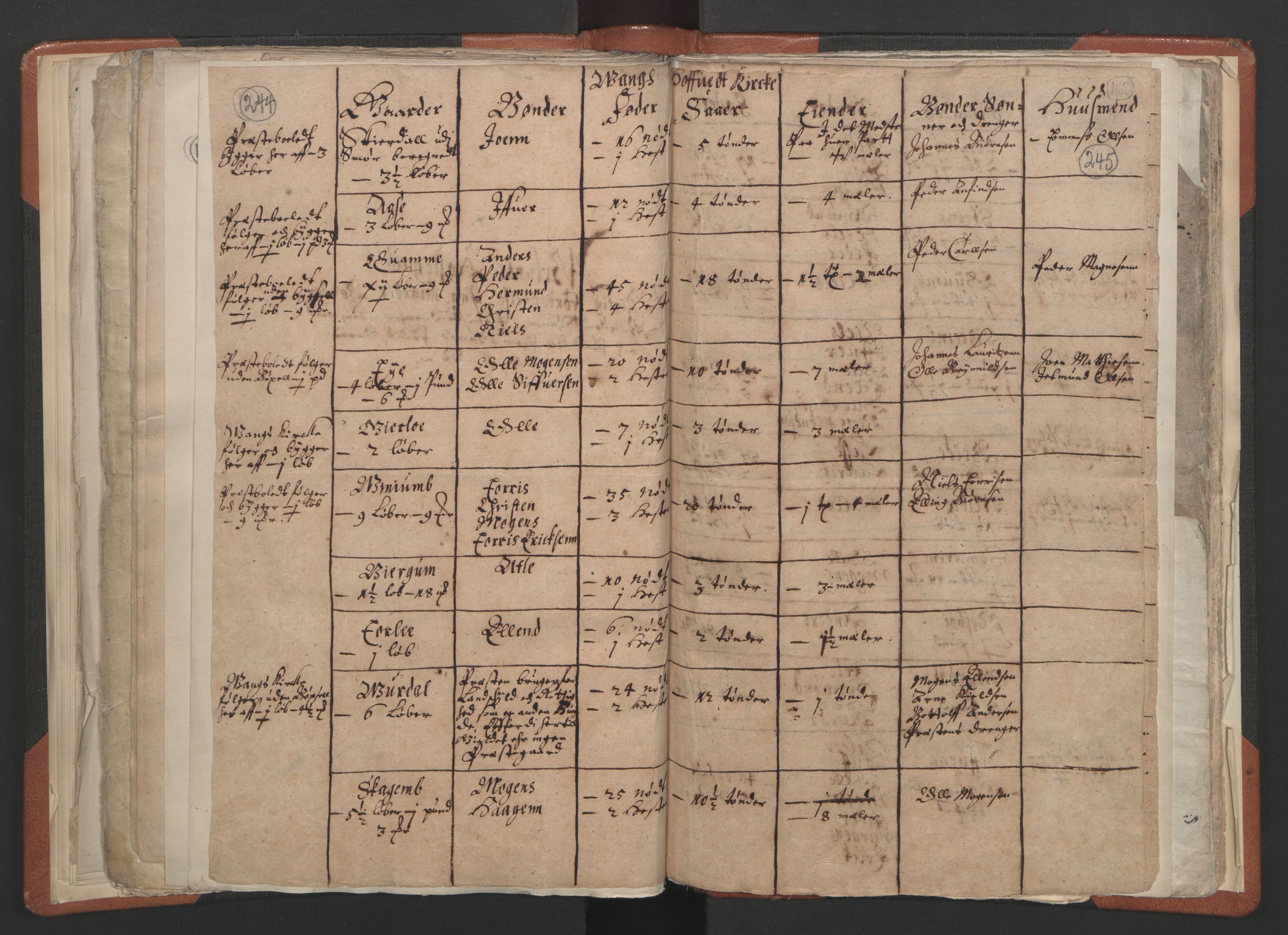 RA, Vicar's Census 1664-1666, no. 23: Sogn deanery, 1664-1666, p. 244-245
