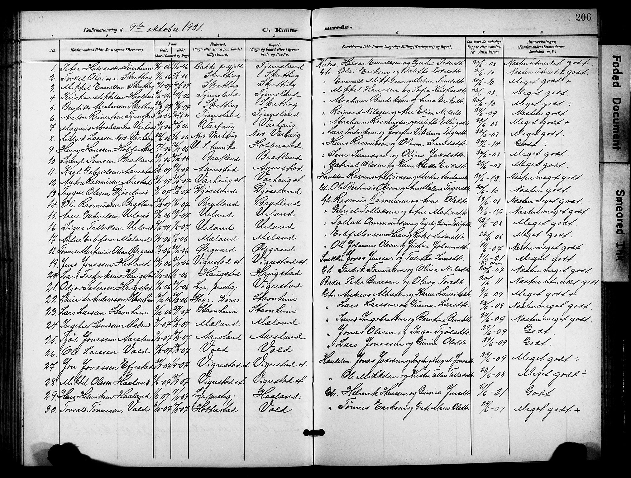 Hå sokneprestkontor, SAST/A-101801/001/30BB/L0006: Parish register (copy) no. B 6, 1900-1924, p. 206
