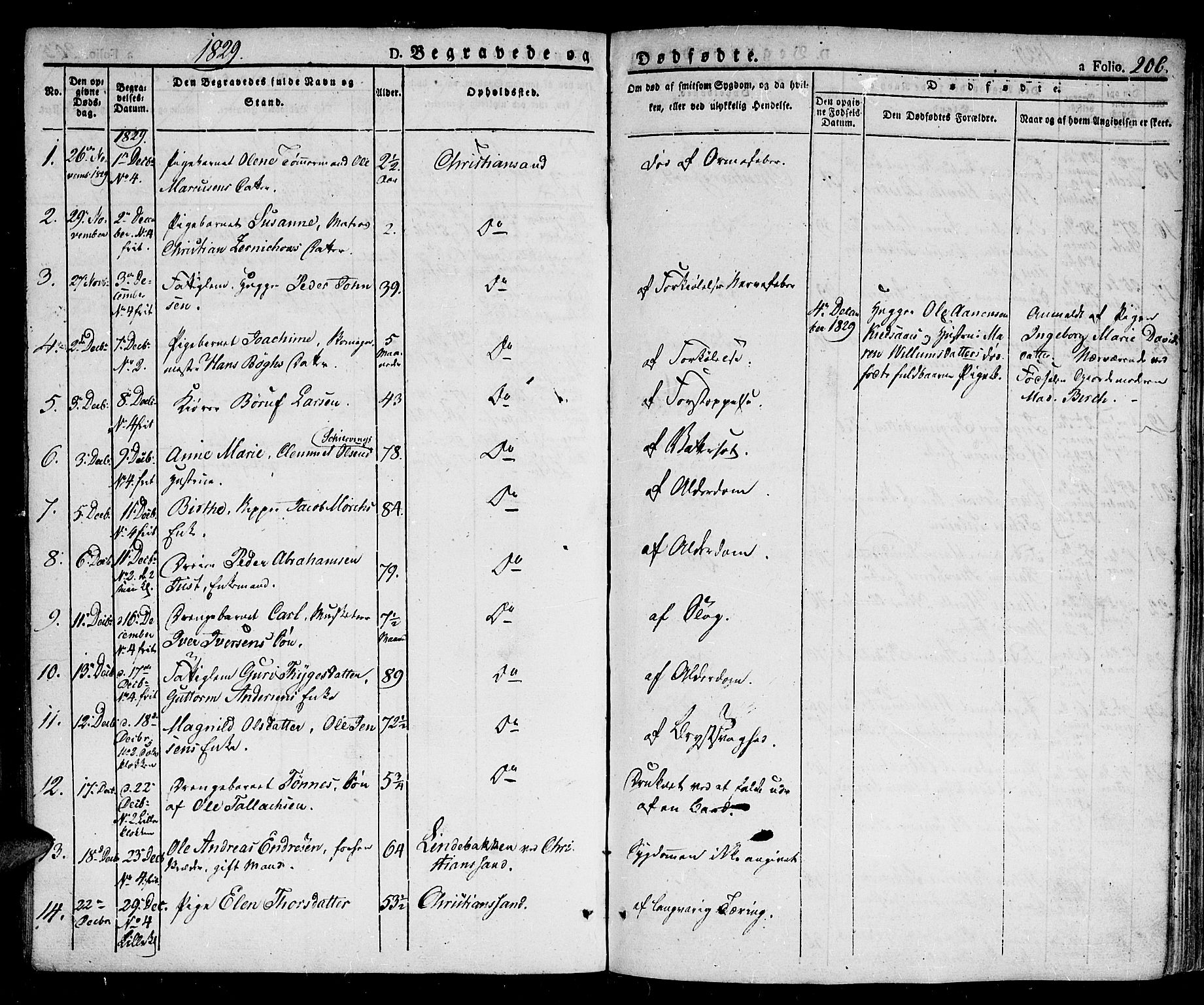 Kristiansand domprosti, SAK/1112-0006/F/Fb/L0007: Parish register (copy) no. B 7, 1829-1837, p. 206
