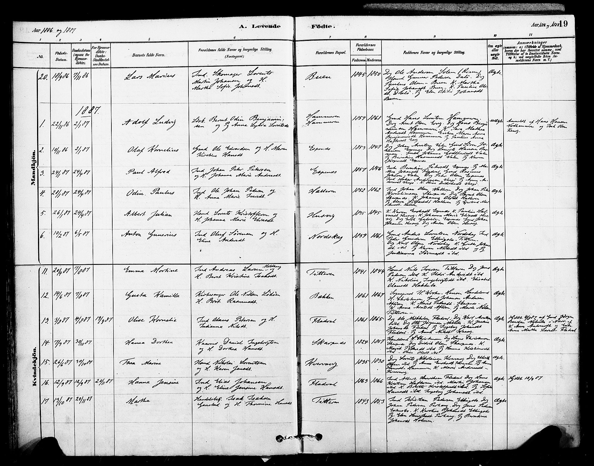 Ministerialprotokoller, klokkerbøker og fødselsregistre - Sør-Trøndelag, SAT/A-1456/641/L0595: Parish register (official) no. 641A01, 1882-1897, p. 19