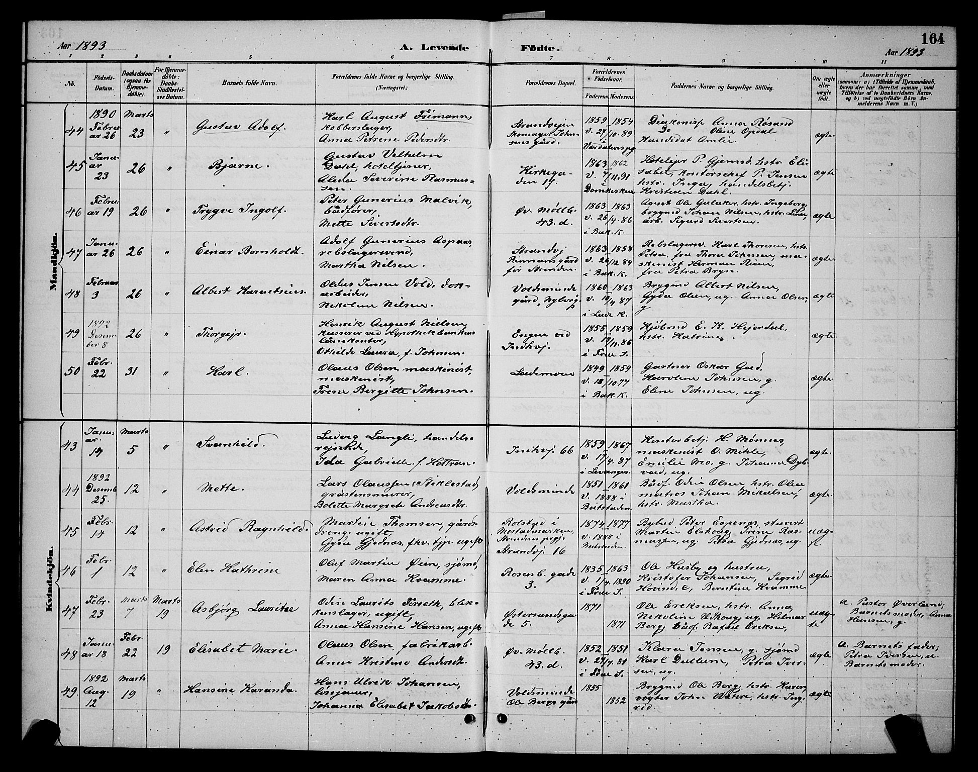 Ministerialprotokoller, klokkerbøker og fødselsregistre - Sør-Trøndelag, SAT/A-1456/604/L0222: Parish register (copy) no. 604C05, 1886-1895, p. 164