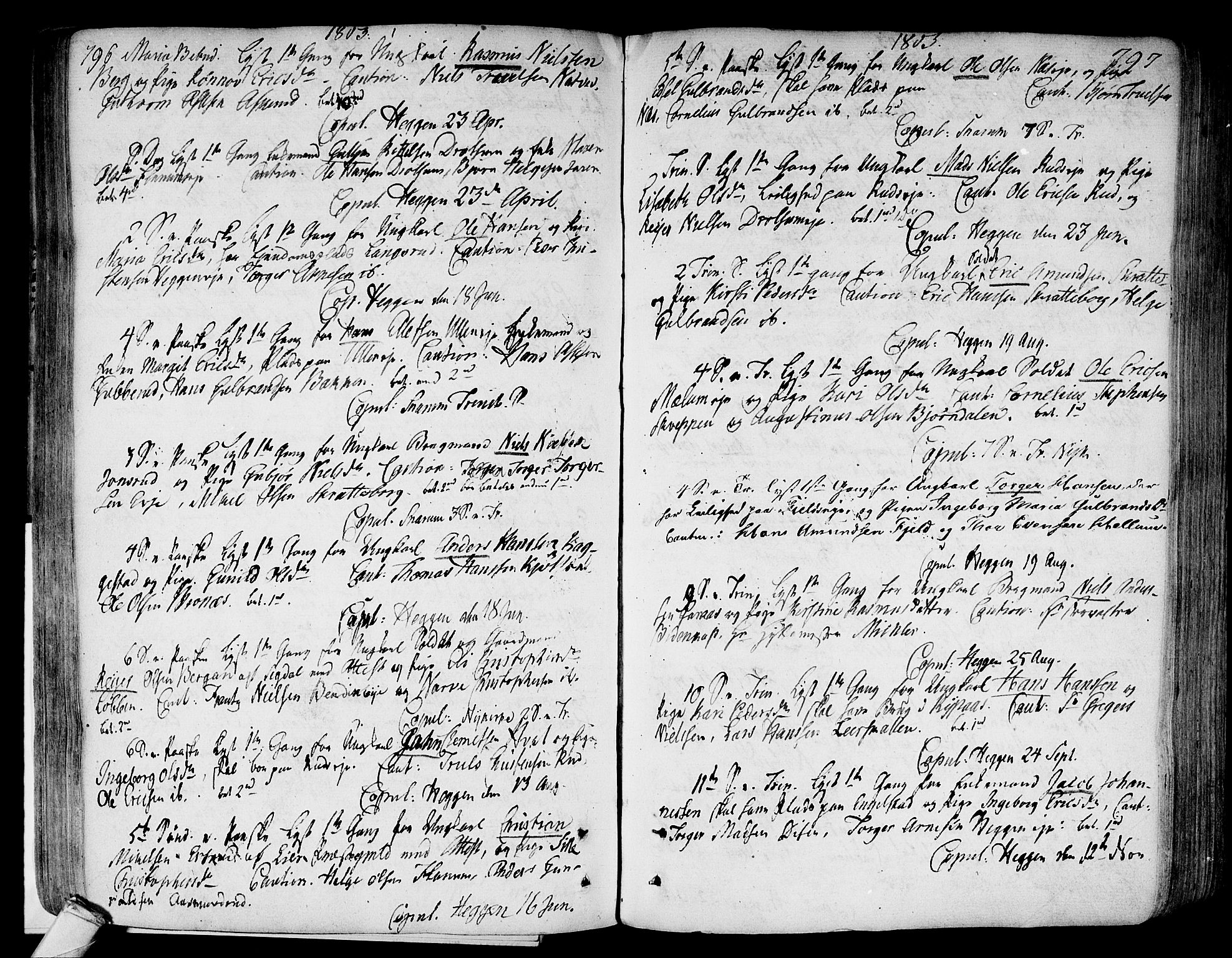 Modum kirkebøker, AV/SAKO-A-234/F/Fa/L0003: Parish register (official) no. 3, 1783-1819, p. 796-797