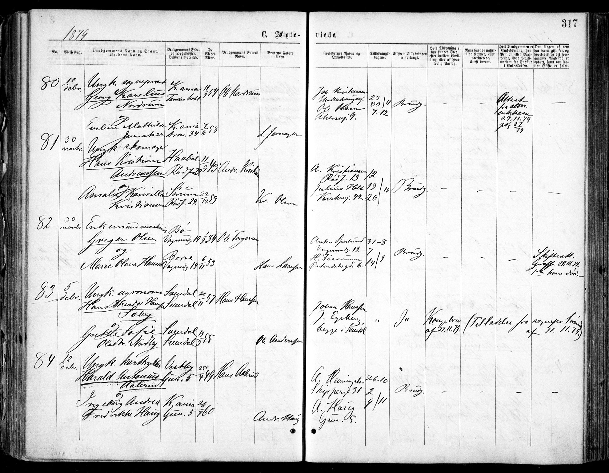 Oslo domkirke Kirkebøker, AV/SAO-A-10752/F/Fa/L0021: Parish register (official) no. 21, 1865-1884, p. 317