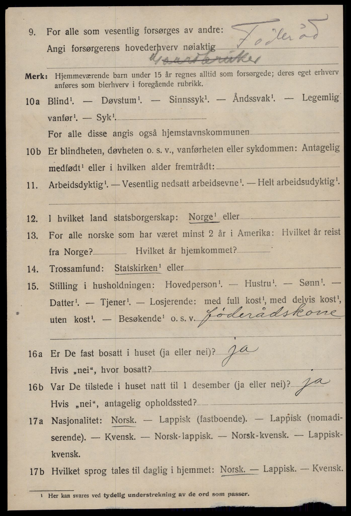 SAT, 1920 census for Selbu, 1920, p. 6505