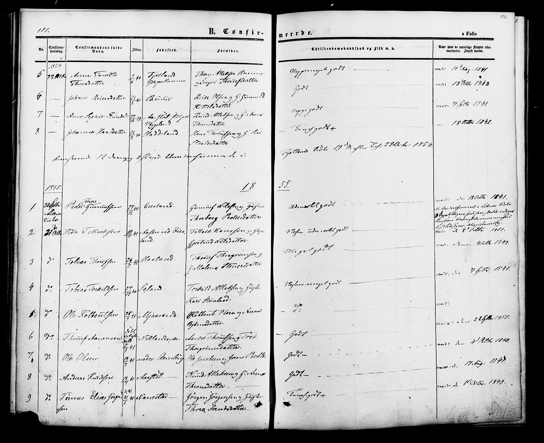 Fjotland sokneprestkontor, AV/SAK-1111-0010/F/Fa/L0001: Parish register (official) no. A 1, 1850-1879, p. 106