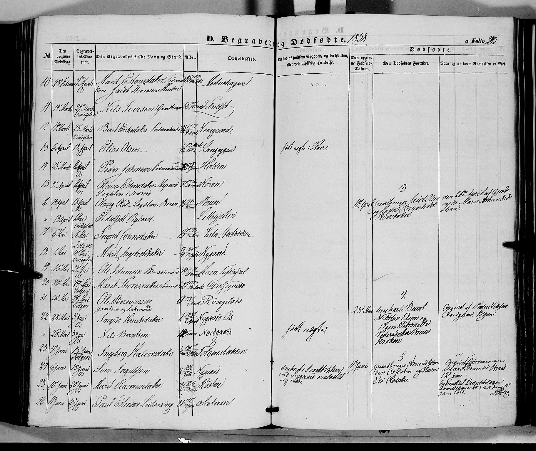 Tolga prestekontor, AV/SAH-PREST-062/K/L0006: Parish register (official) no. 6, 1852-1876, p. 293