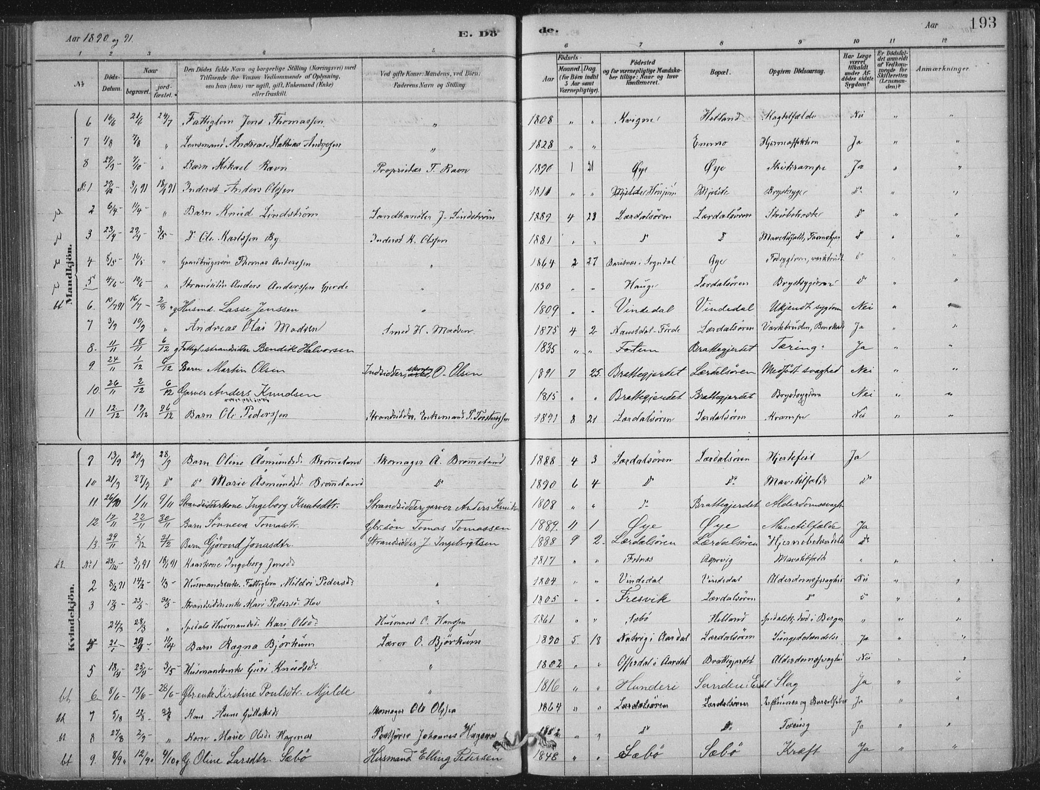 Lærdal sokneprestembete, SAB/A-81201: Parish register (official) no. D  1, 1878-1908, p. 193