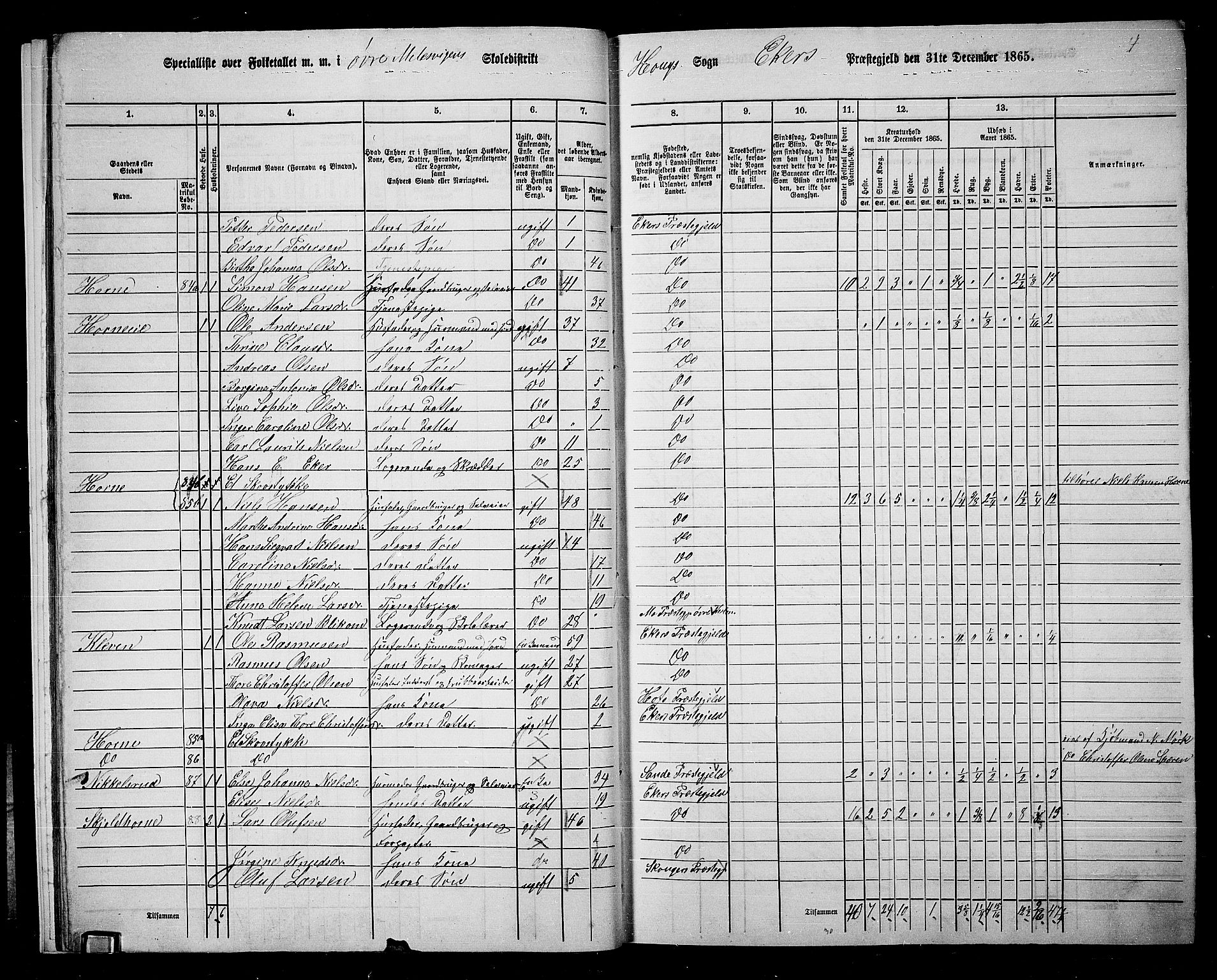 RA, 1865 census for Eiker, 1865, p. 17