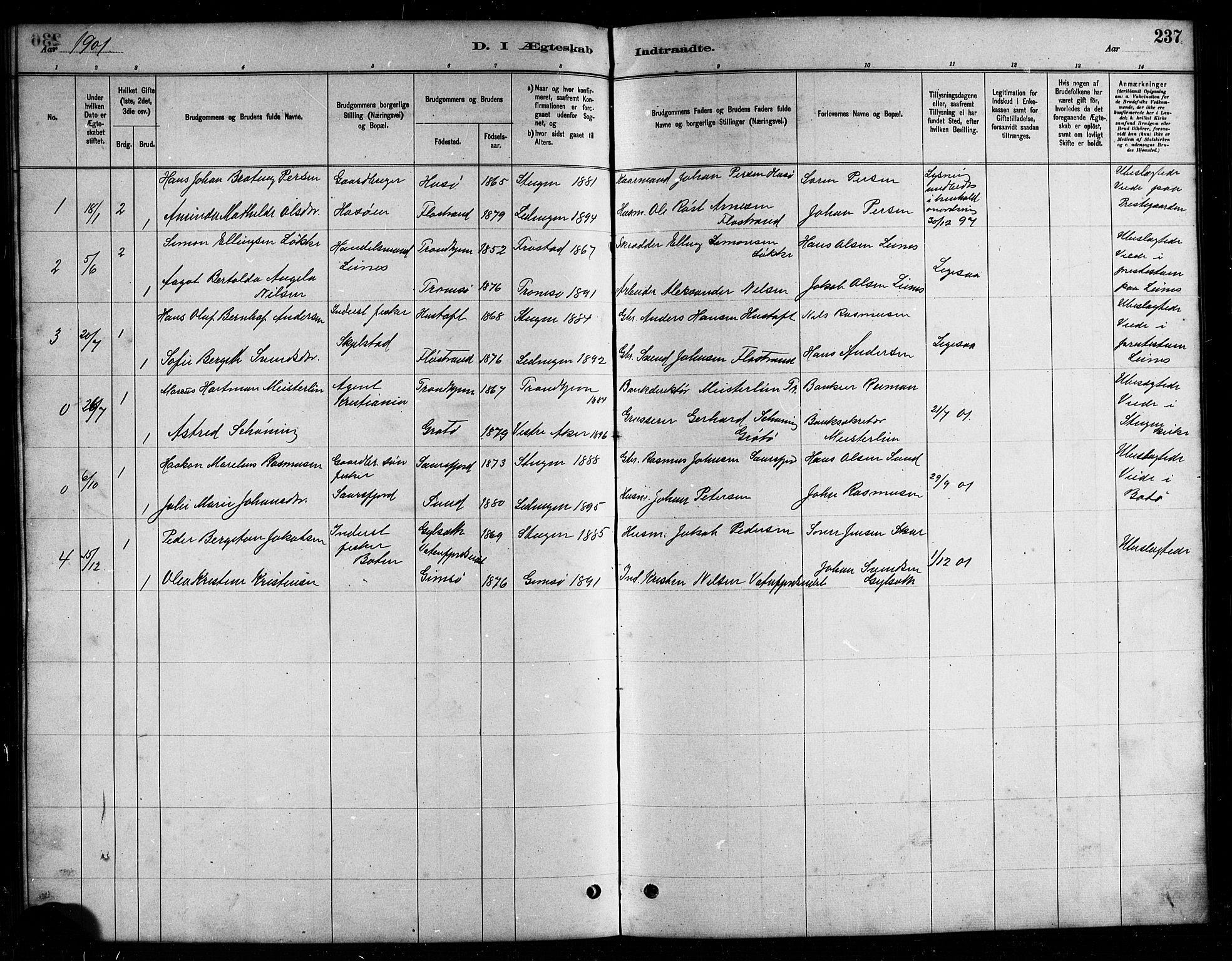 Ministerialprotokoller, klokkerbøker og fødselsregistre - Nordland, AV/SAT-A-1459/857/L0828: Parish register (copy) no. 857C03, 1879-1908, p. 237